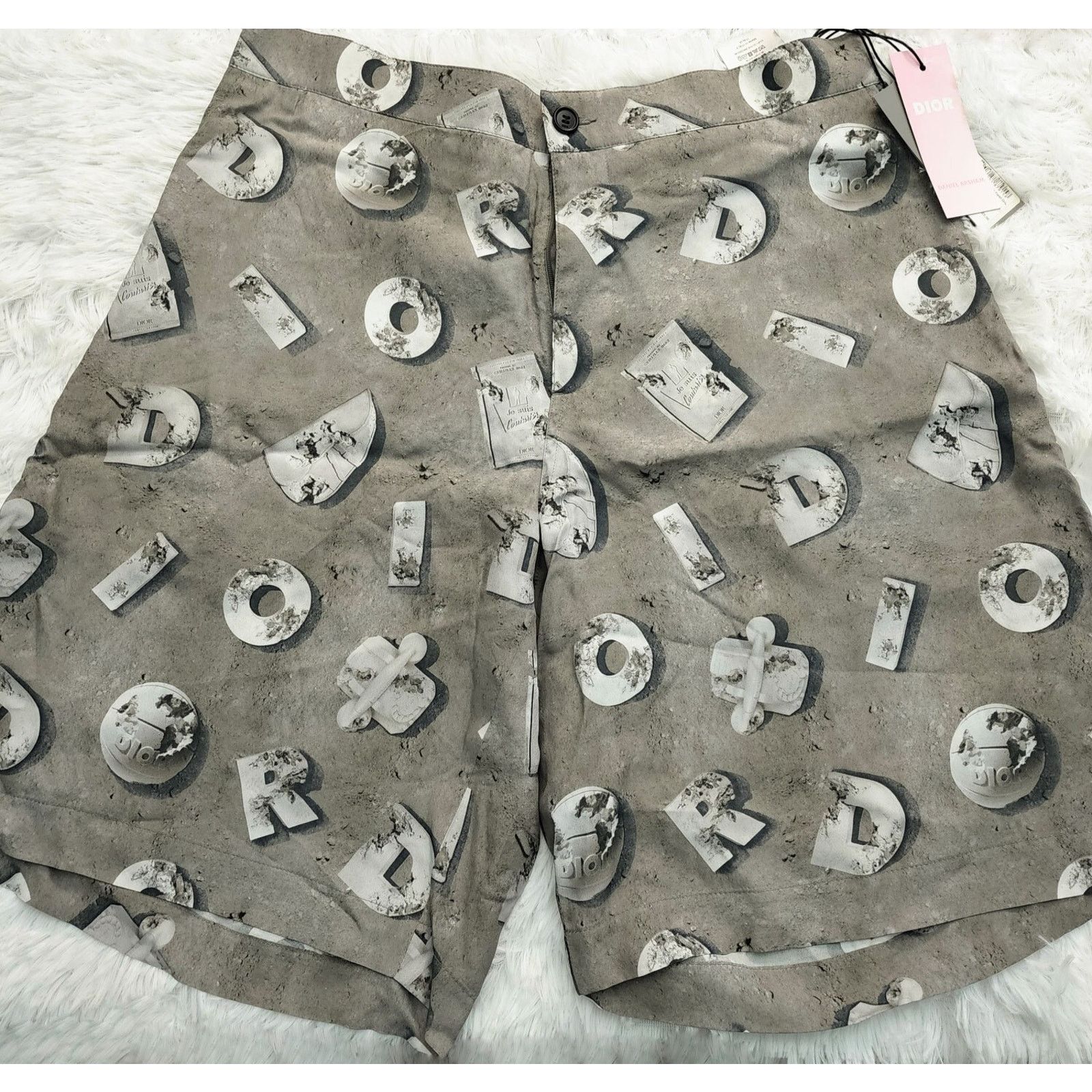Dior Dior x Daniel Arsham Gray CD Lunar Print Crepe Shorts Size US 34 / EU 50 - 1 Thumbnail