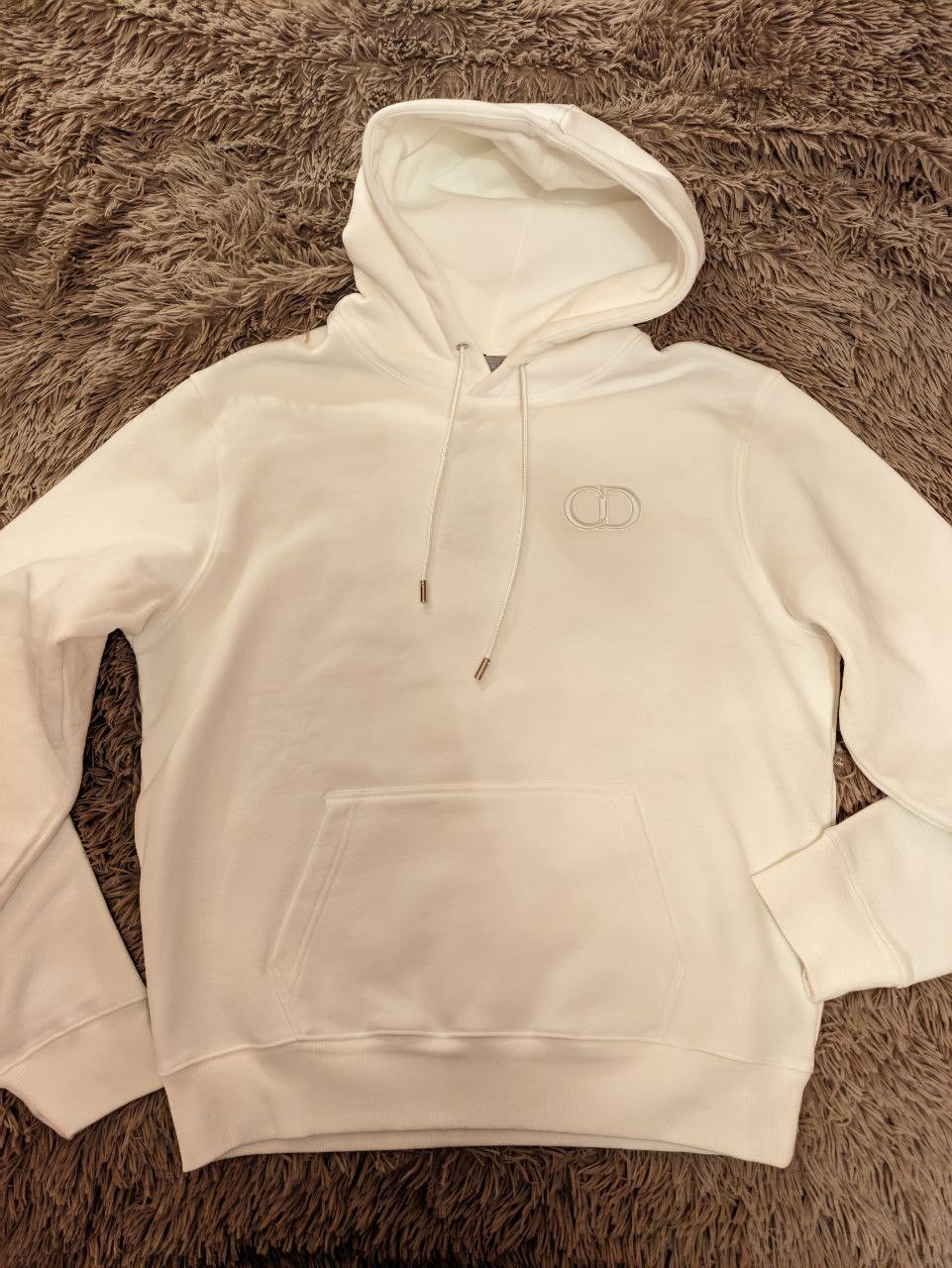 Dior CD Icon Hooded Sweatshirt