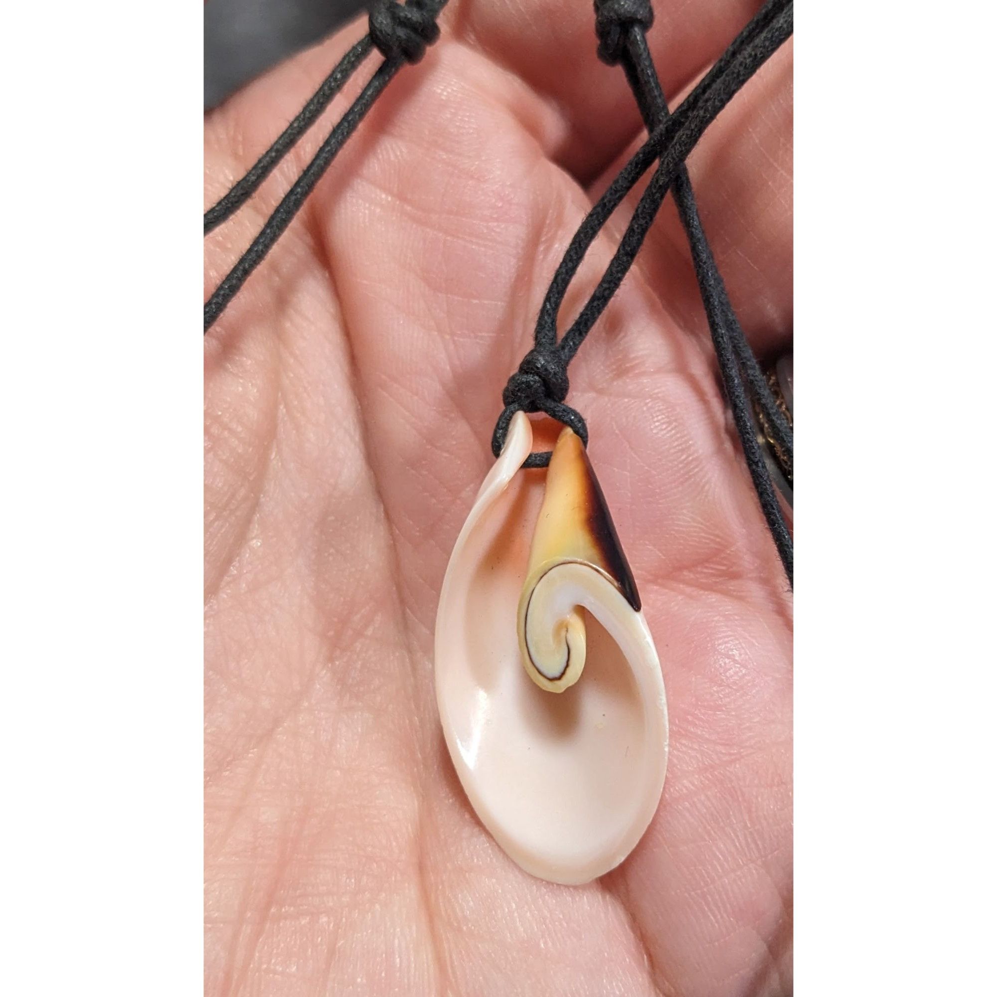 Other Retro Mermaidcore Sliced Shell Pendant Necklace Size ONE SIZE - 10 Thumbnail