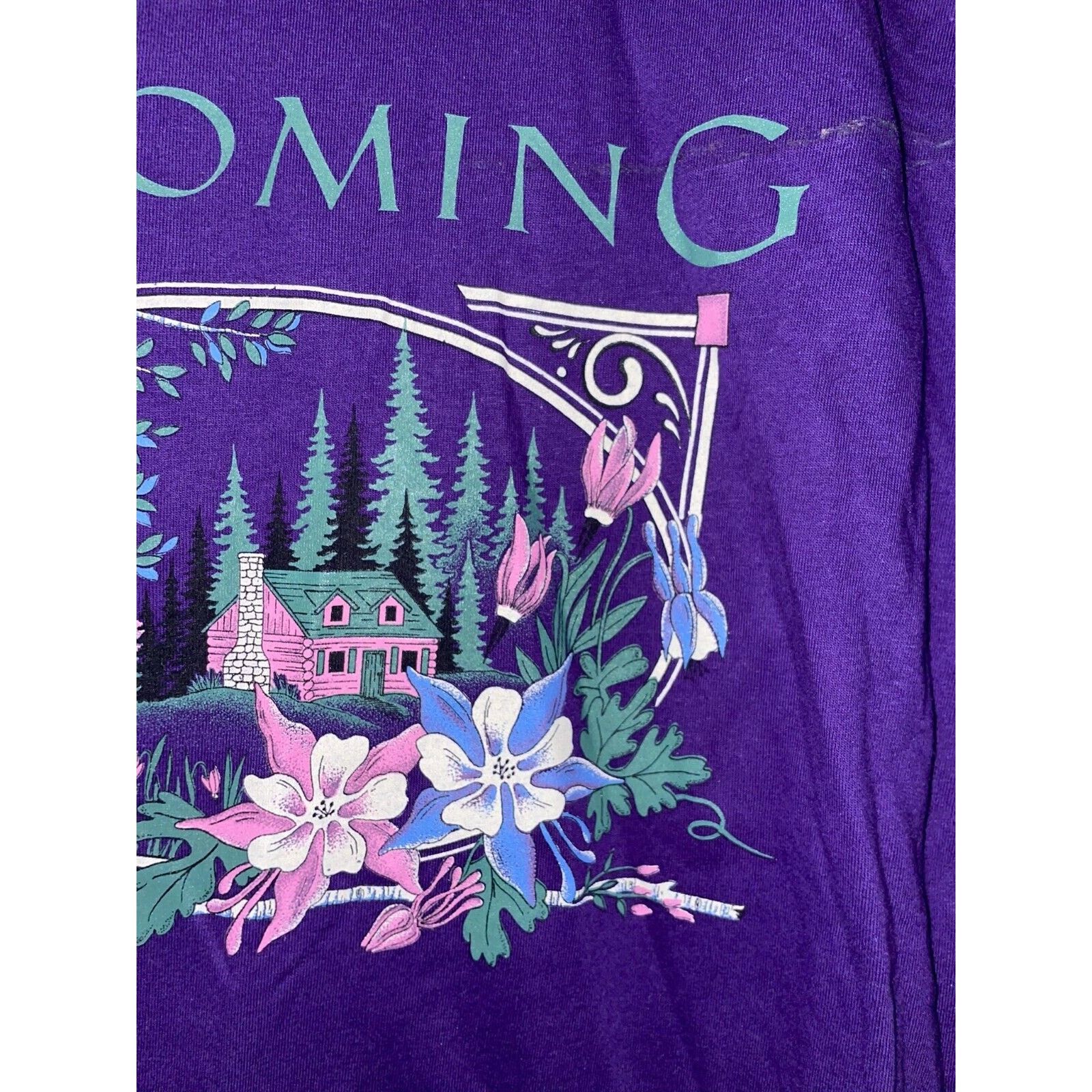 Jerzees Vintage Wyoming Shirt Mountain Cabin Tee VTG 90s L Large Size US L / EU 52-54 / 3 - 4 Thumbnail