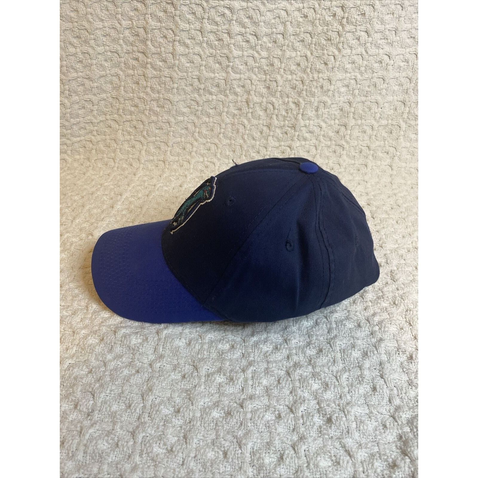 (di)vision Ogden Raptors Hat StrapBack Blue OC Minor Baseball MILB Utah Size ONE SIZE - 2 Thumbnail