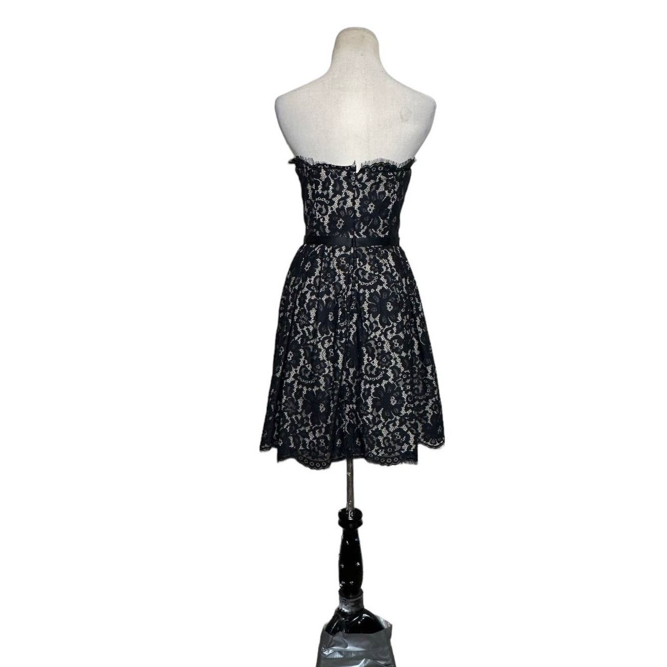 Robert Rodriguez Robert Rodriguez Lace Strapless Party Cocktail Dress Size 6 Size M / US 6-8 / IT 42-44 - 2 Thumbnail