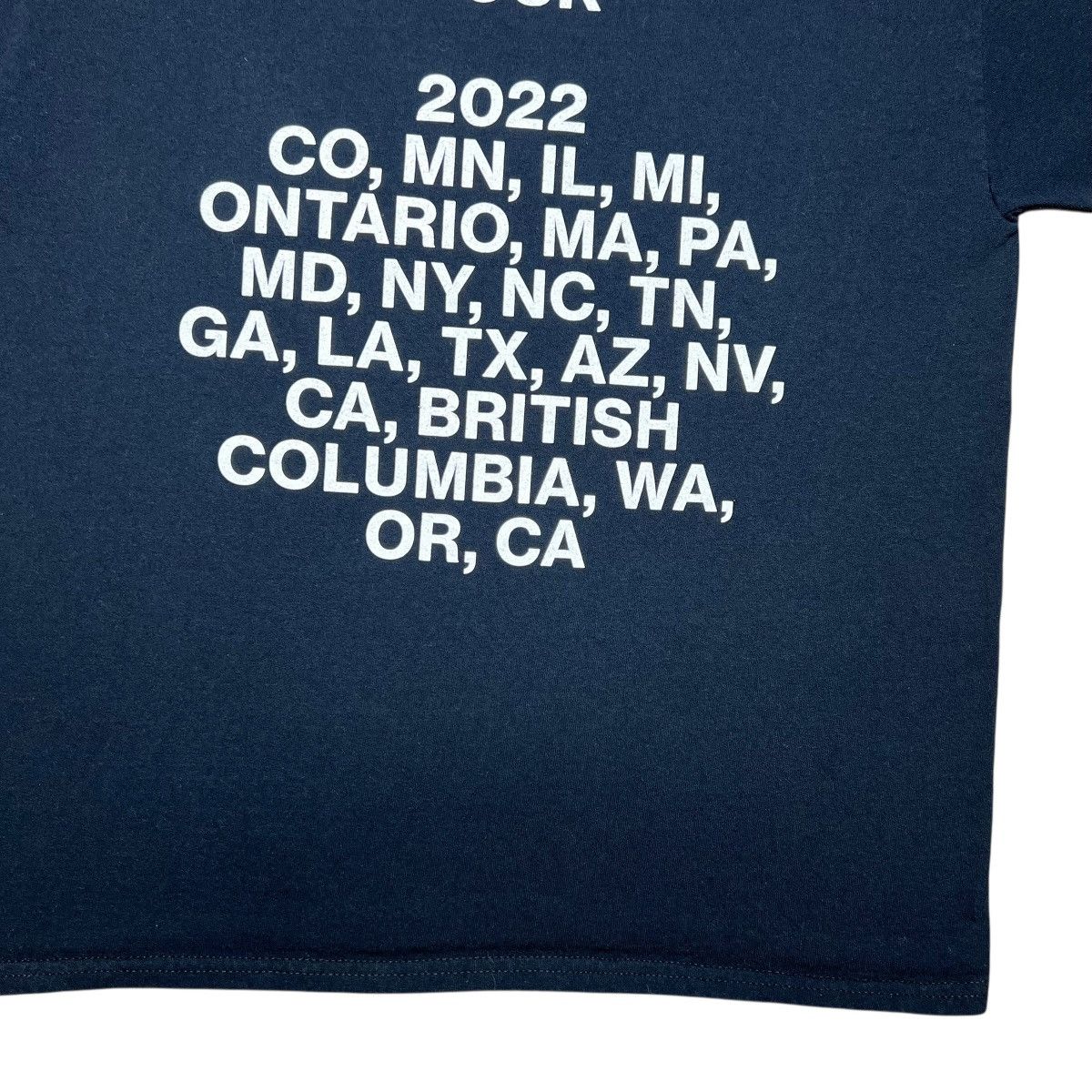 Band Tees 2022 Steve Lacy Give You The World Tour Gemini Album Tee Size US L / EU 52-54 / 3 - 13 Thumbnail