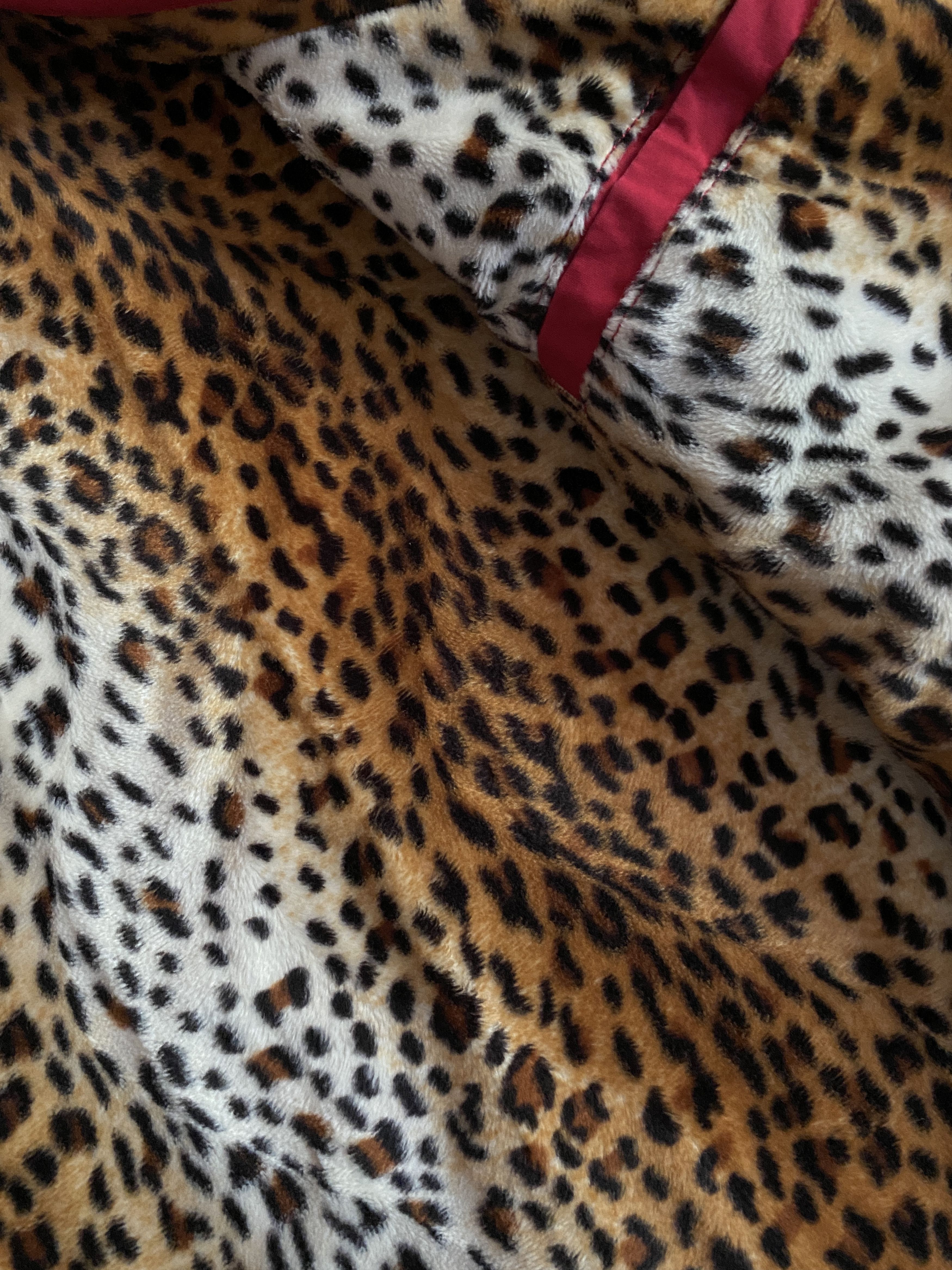 Supreme Leopard Lined Coaches Jacket FW10 Size US S / EU 44-46 / 1 - 4 Thumbnail