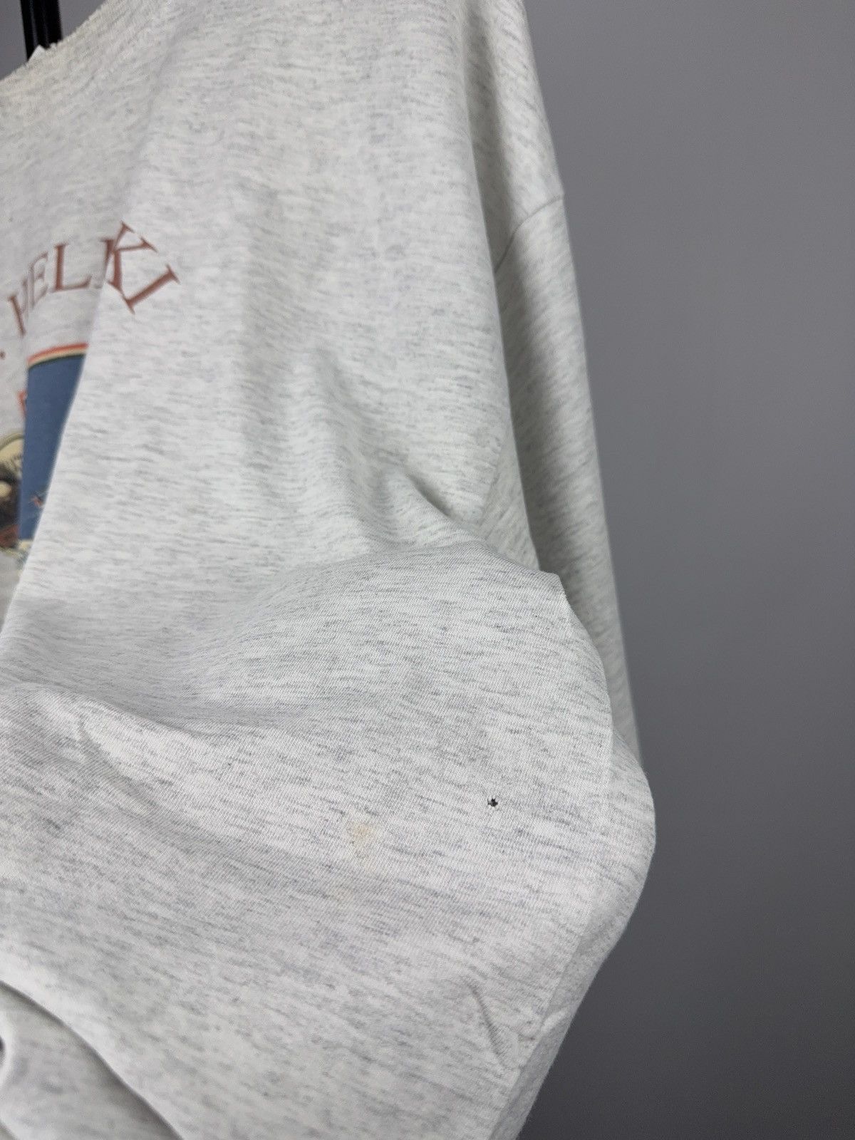 Vintage Vintage 90s Retro Panorama Canada Heli-Ski Graphic T-Shirt Size US L / EU 52-54 / 3 - 12 Thumbnail