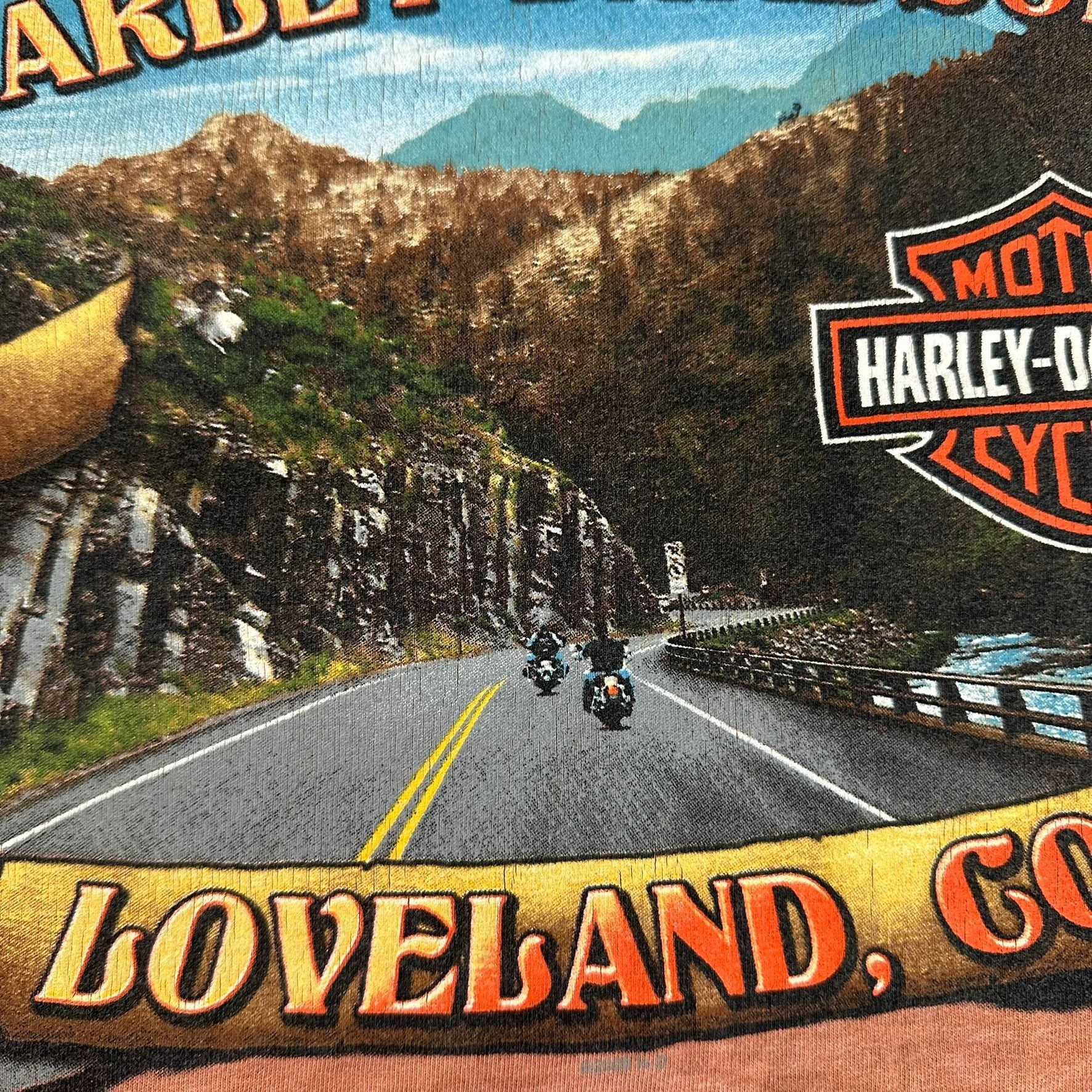 Harley Davidson Vintage Y2K Harley Davidson T-Shirt Moto Biker Loveland Colo Size US XXL / EU 58 / 5 - 6 Thumbnail