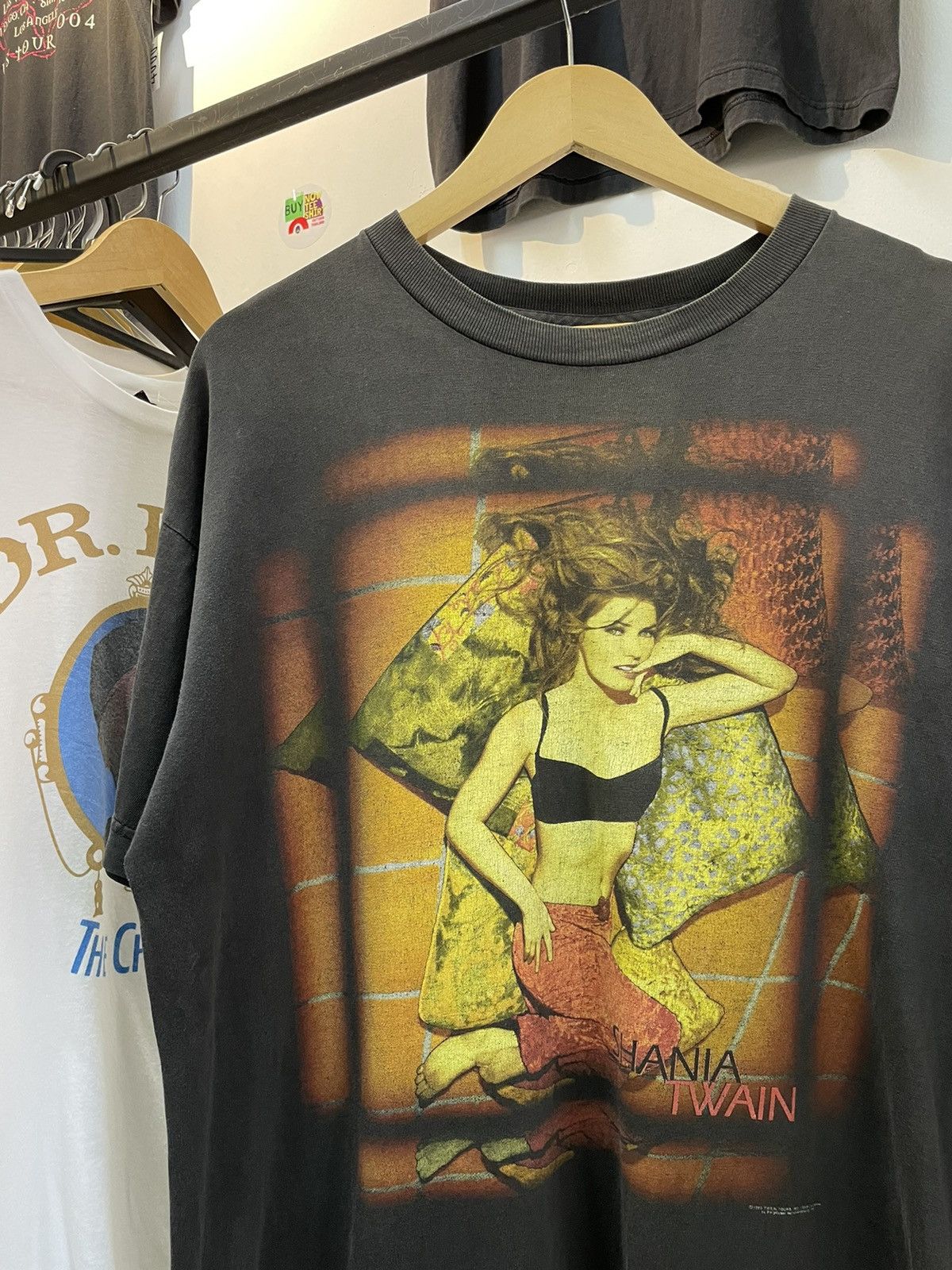 Shania Twain 1999