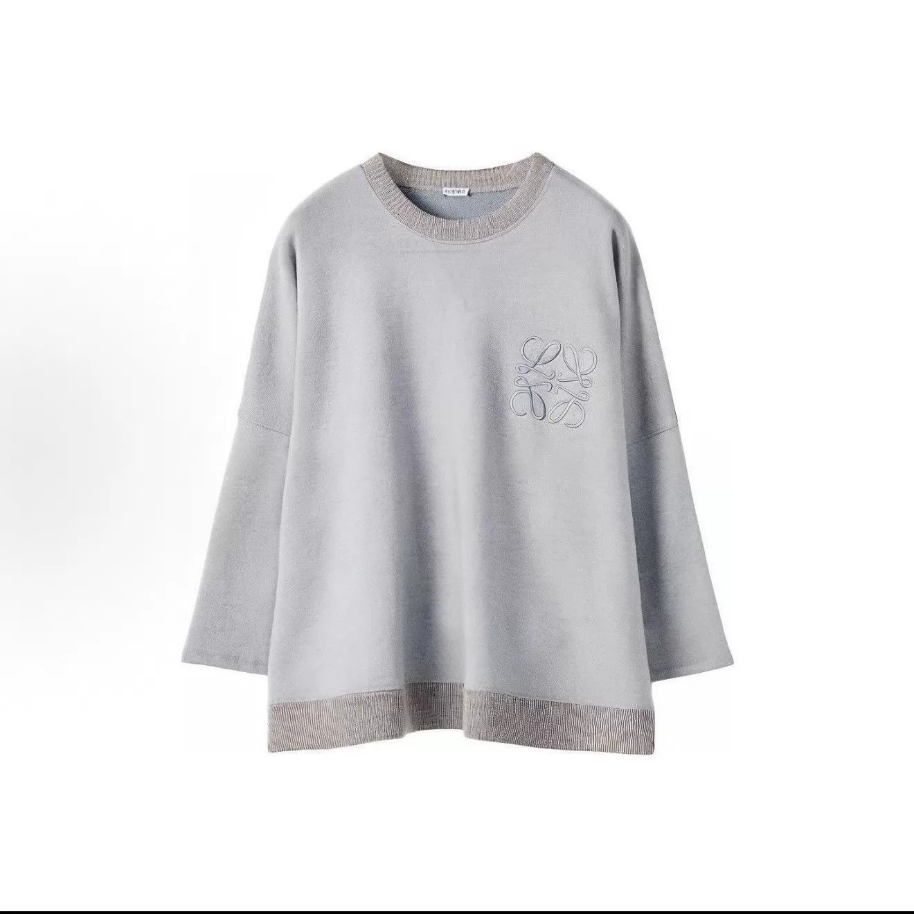 Loewe LOEWE Gray Embroidered Sweatshirt for Women Size M / US 6-8 / IT 42-44 - 1 Thumbnail