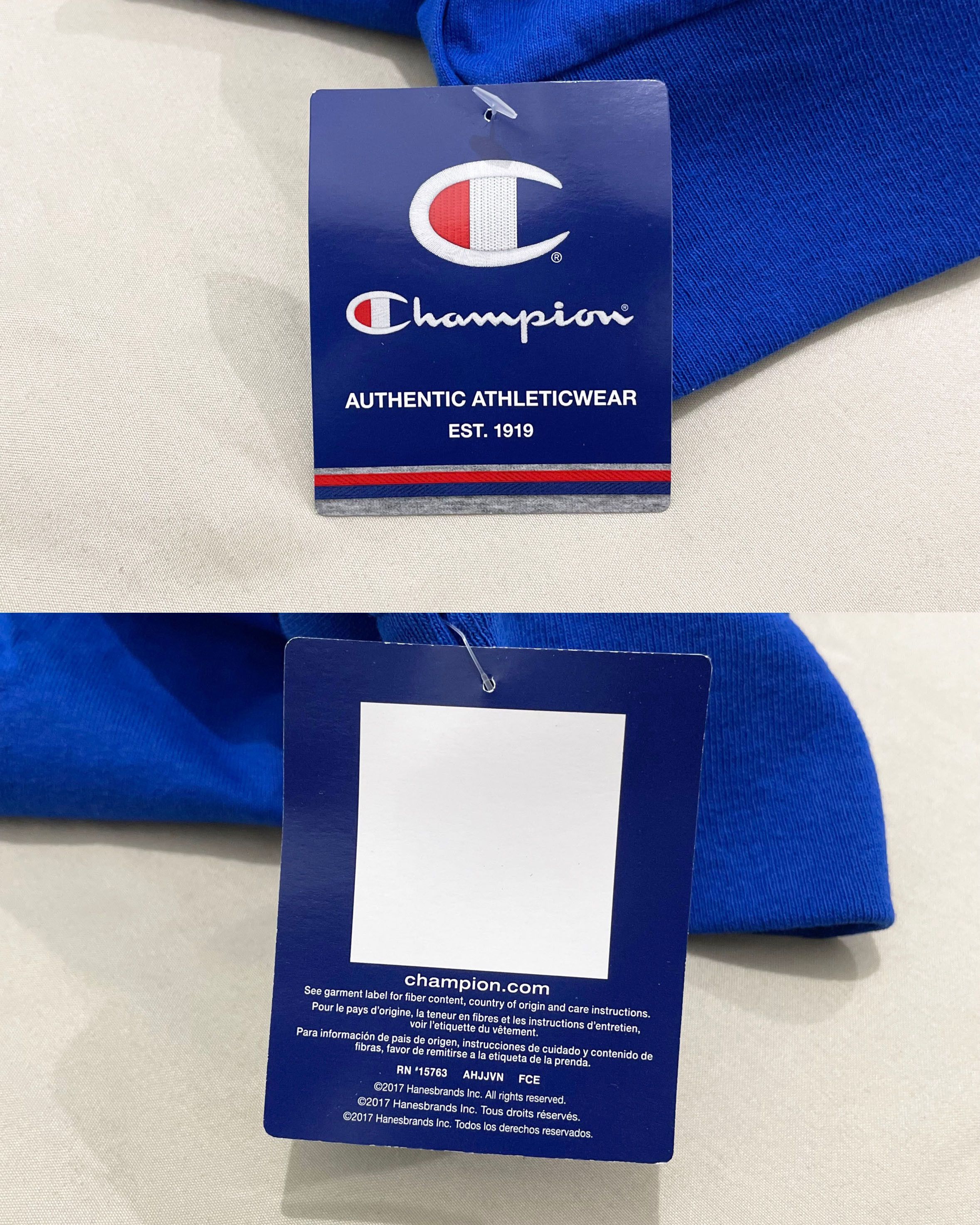 Champion Champion Patriotic Logo Long Sleeve T-Shirt (Surf The Web) Size US L / EU 52-54 / 3 - 6 Thumbnail