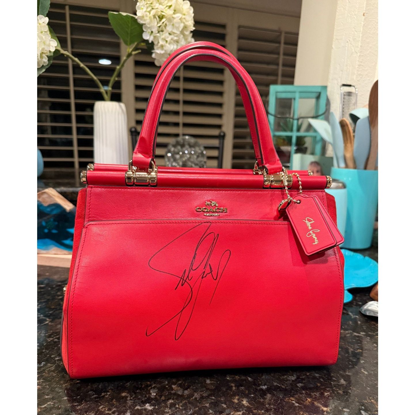 Coach Coach x Selena Gomez Limited Edition Red Leather Bag Size ONE SIZE - 1 Thumbnail