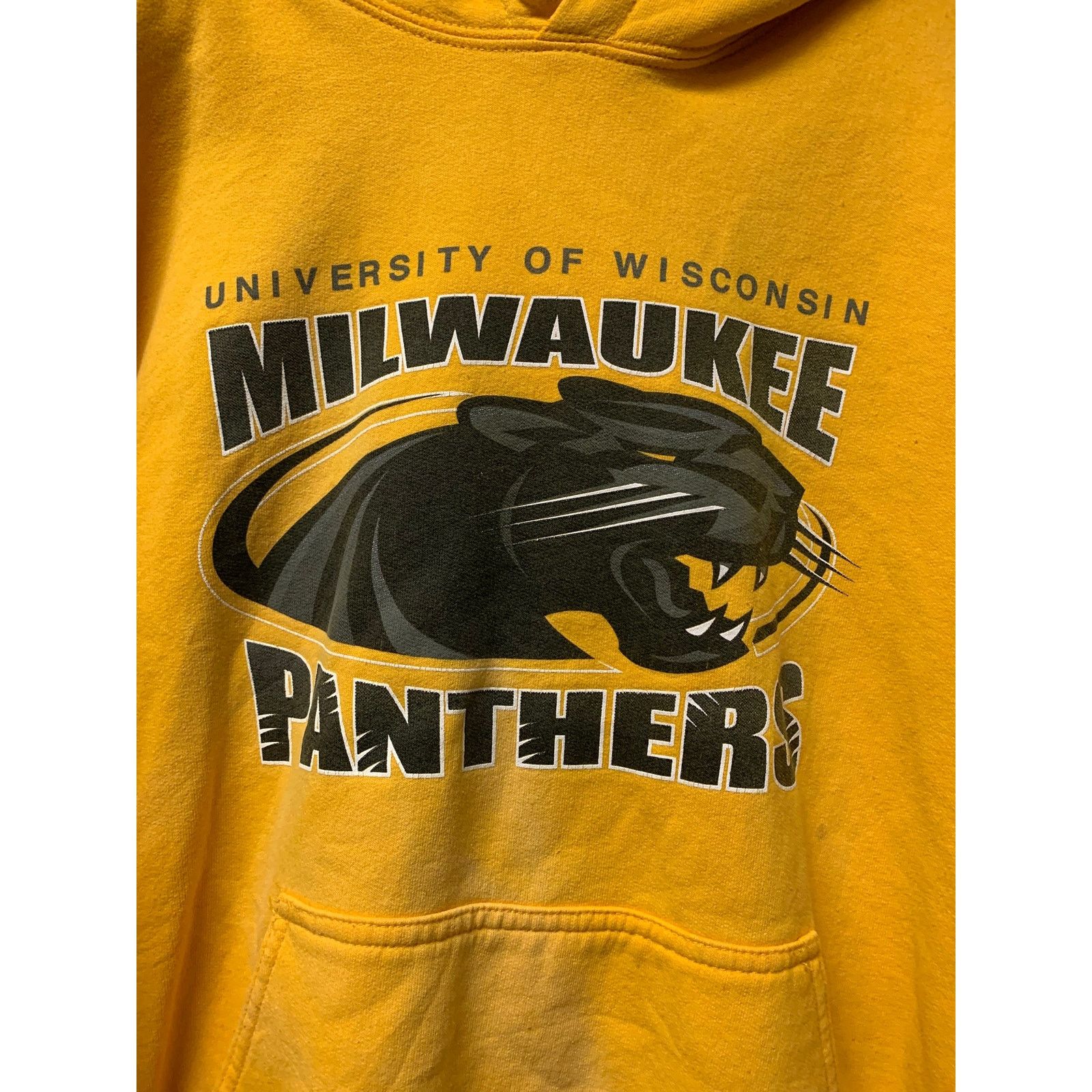 Gildan university of wisconsin milwaukee panthers hoodie sz small Size US S / EU 44-46 / 1 - 2 Thumbnail