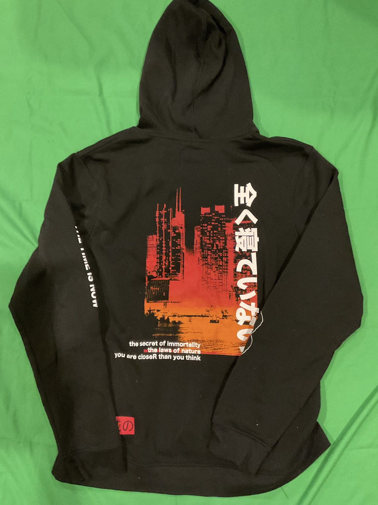 Vintage Vintage law of nature Immortality hoodie Size US XL / EU 56 / 4 - 2 Thumbnail
