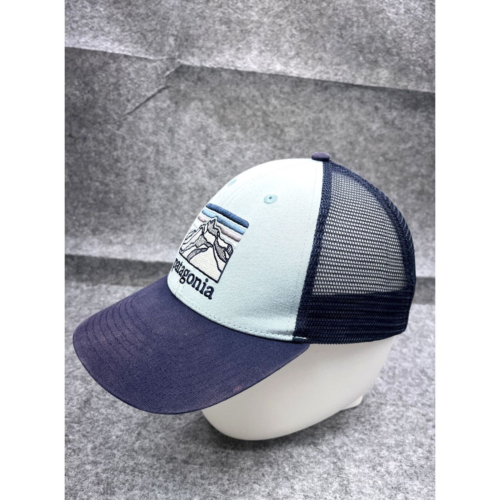 Patagonia Patagonia Hat Cap Snap Back Adult One Size Blue Trucker Nike? Size ONE SIZE - 4 Thumbnail