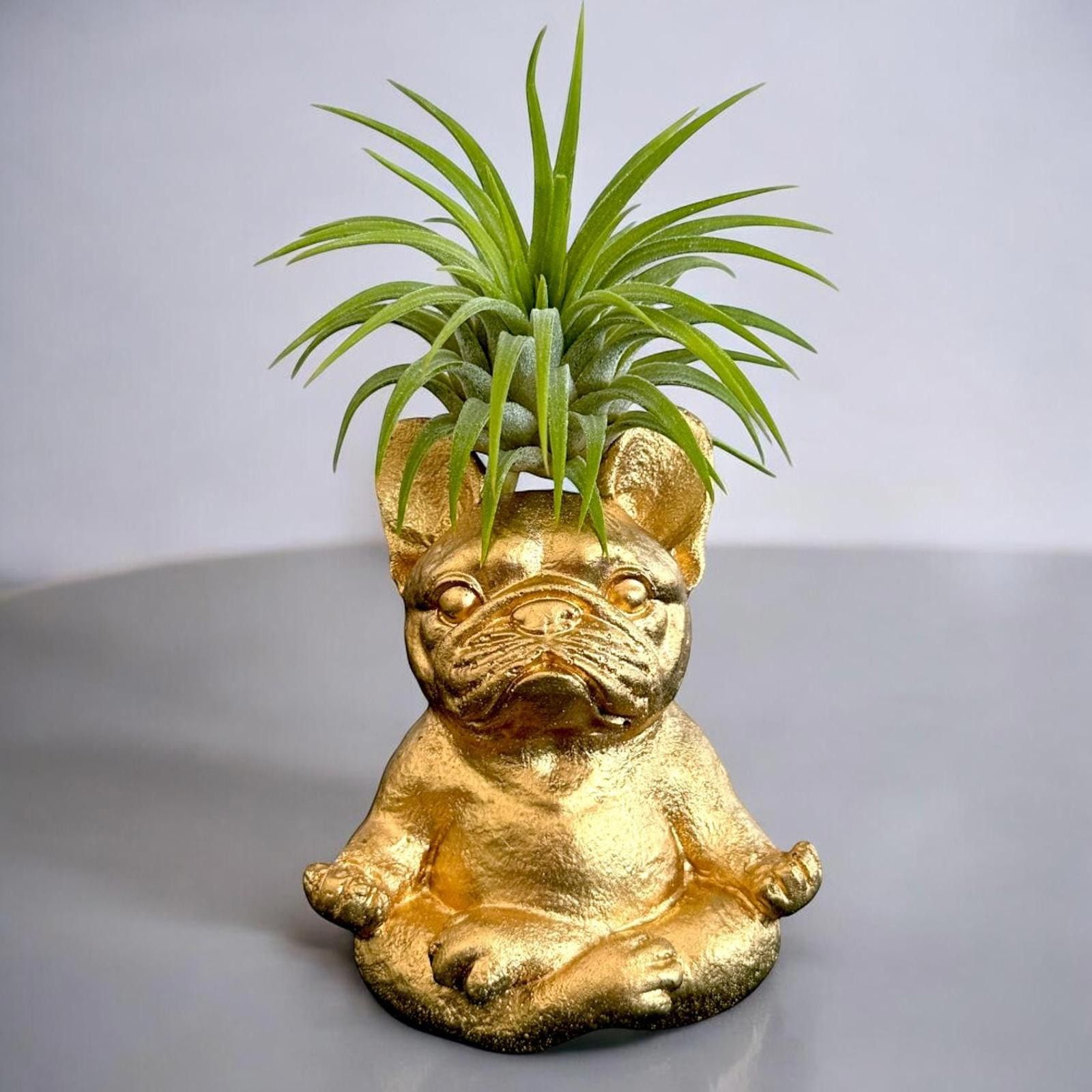 Other Zen Bulldog Air Planter, Meditating Dog Decor, Gift Figurine Size ONE SIZE - 6 Thumbnail