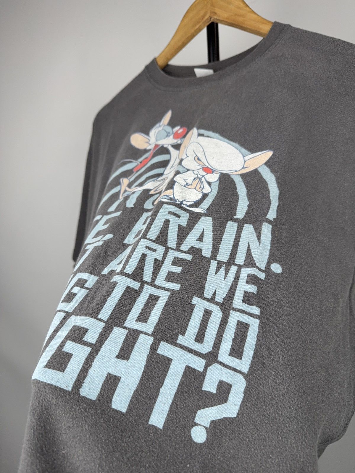 Warner Bros 2007 Pinky and the Brain Vintage Quote Graphic T-Shirt Size US L / EU 52-54 / 3 - 4 Thumbnail