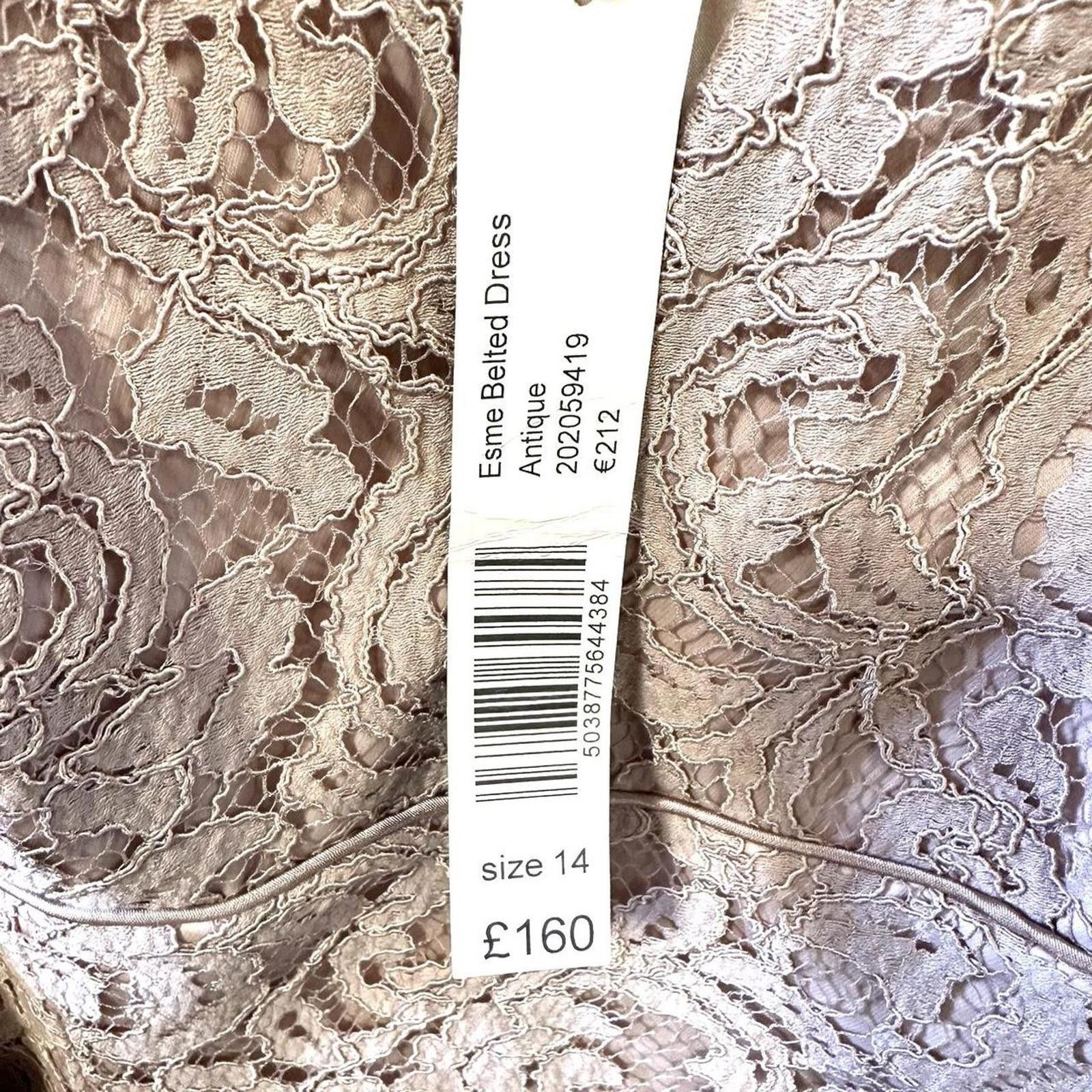 Other Women's Pink and Tan Dress Size L / US 10 / IT 46 - 4 Thumbnail
