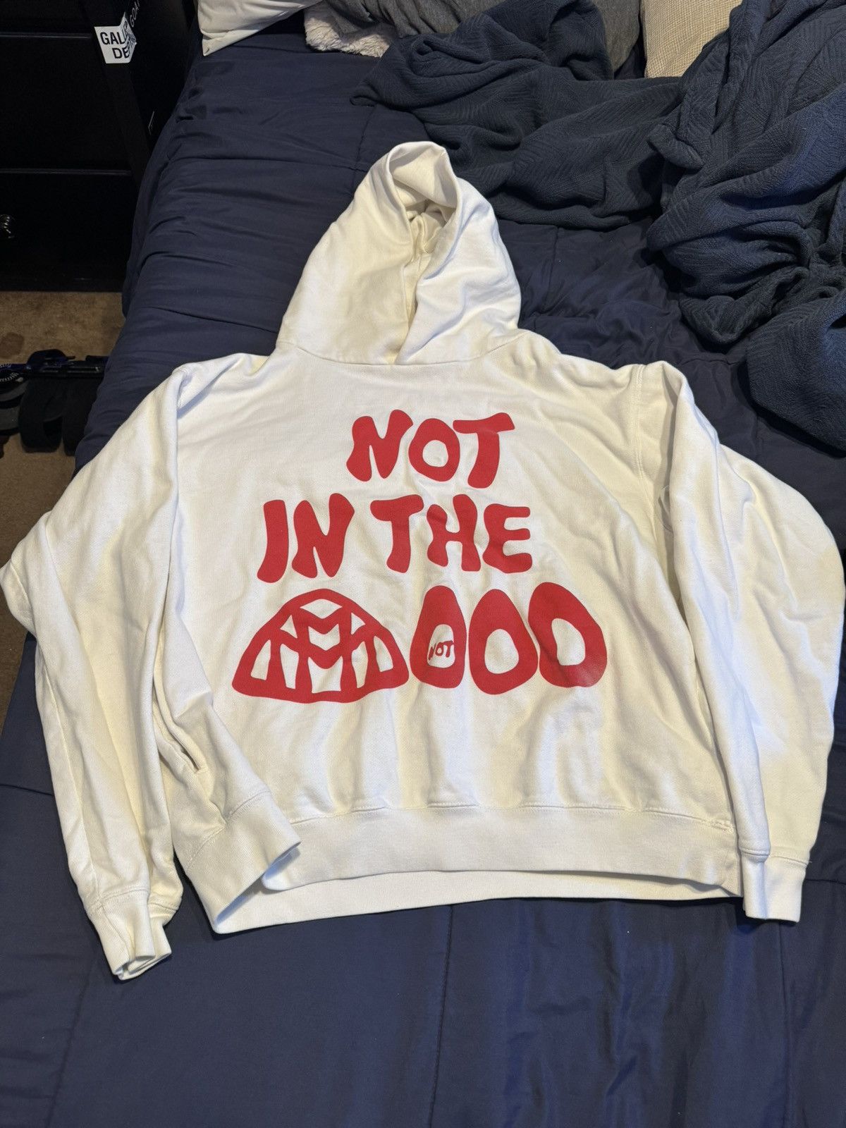 image of Mood Swings Not In The Mood Hoodie in White, Men's (Size Medium)