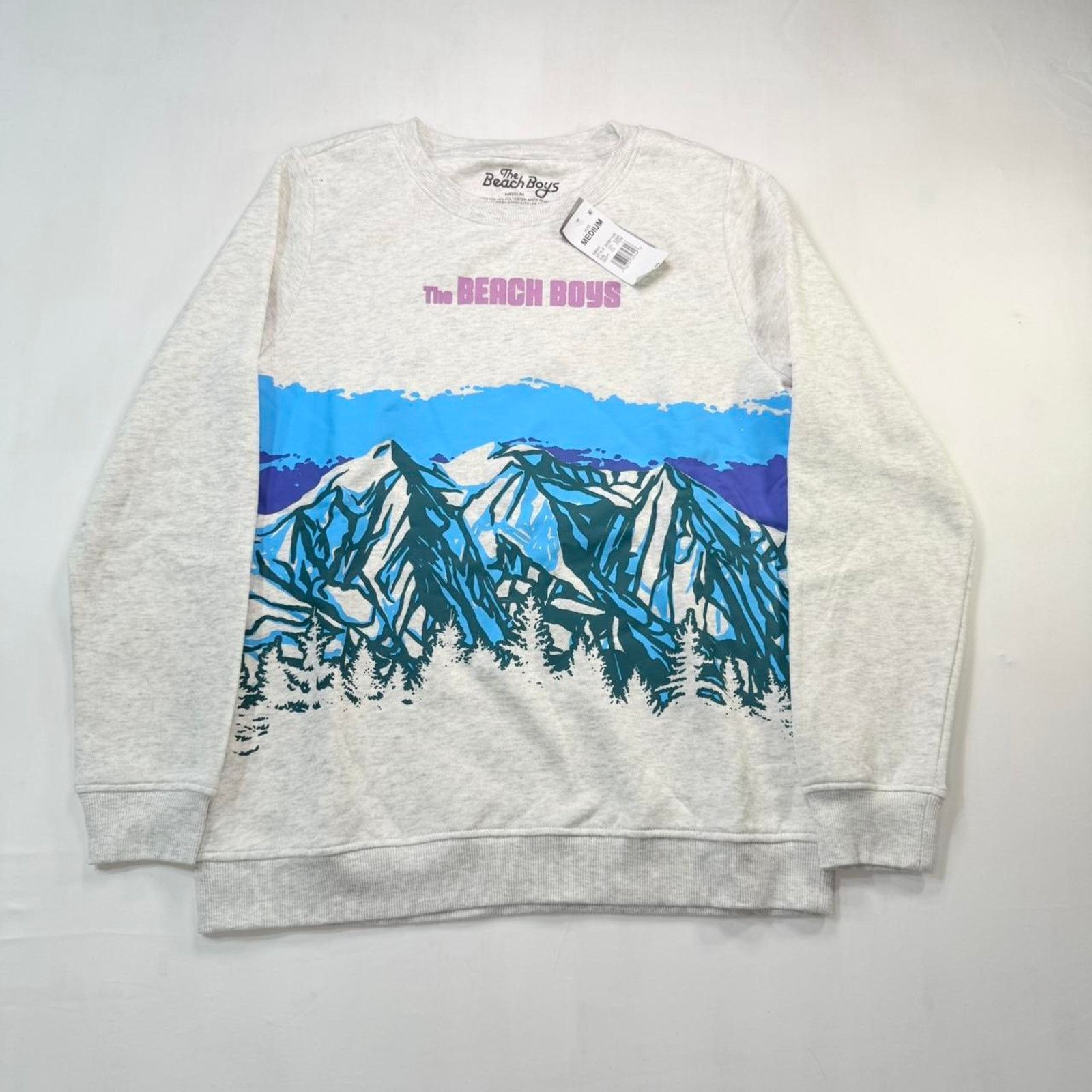 & Other Stories NWT The Beach Boys graphic crewneck sweatshirt Size US M / EU 48-50 / 2 - 1 Thumbnail