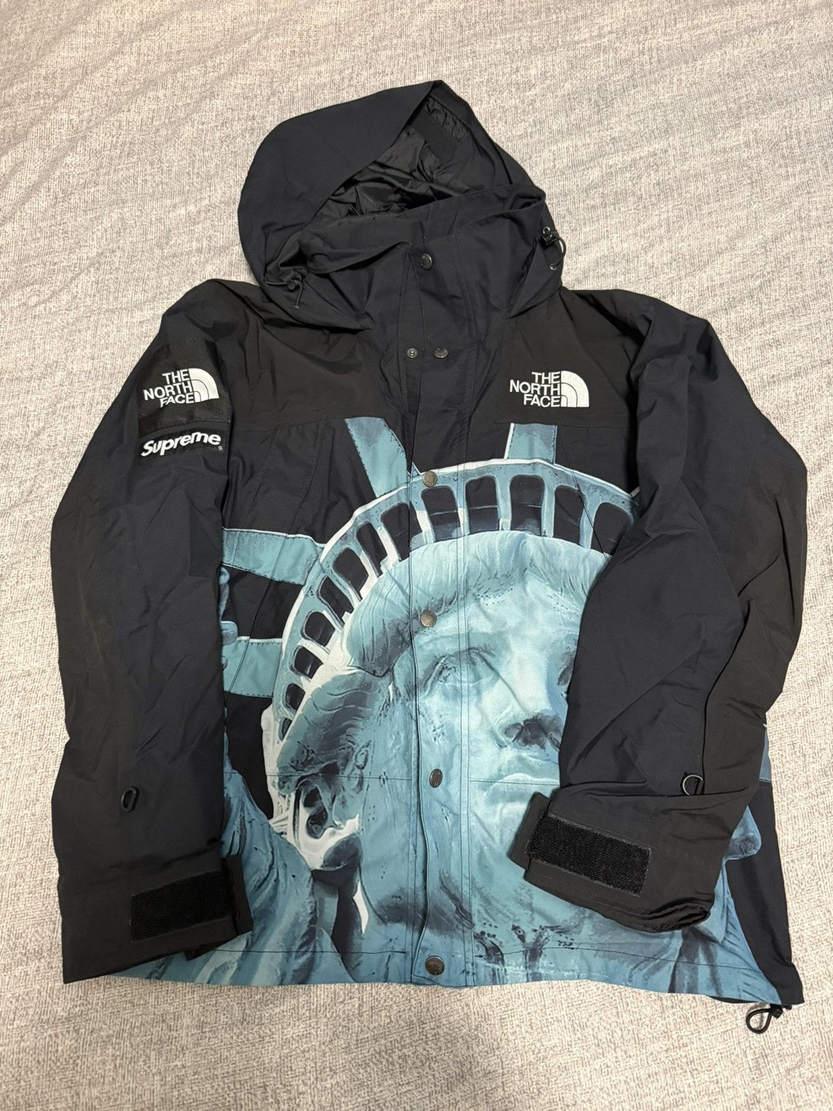 Supreme × The North Face Supreme tnf north face statue of liberty