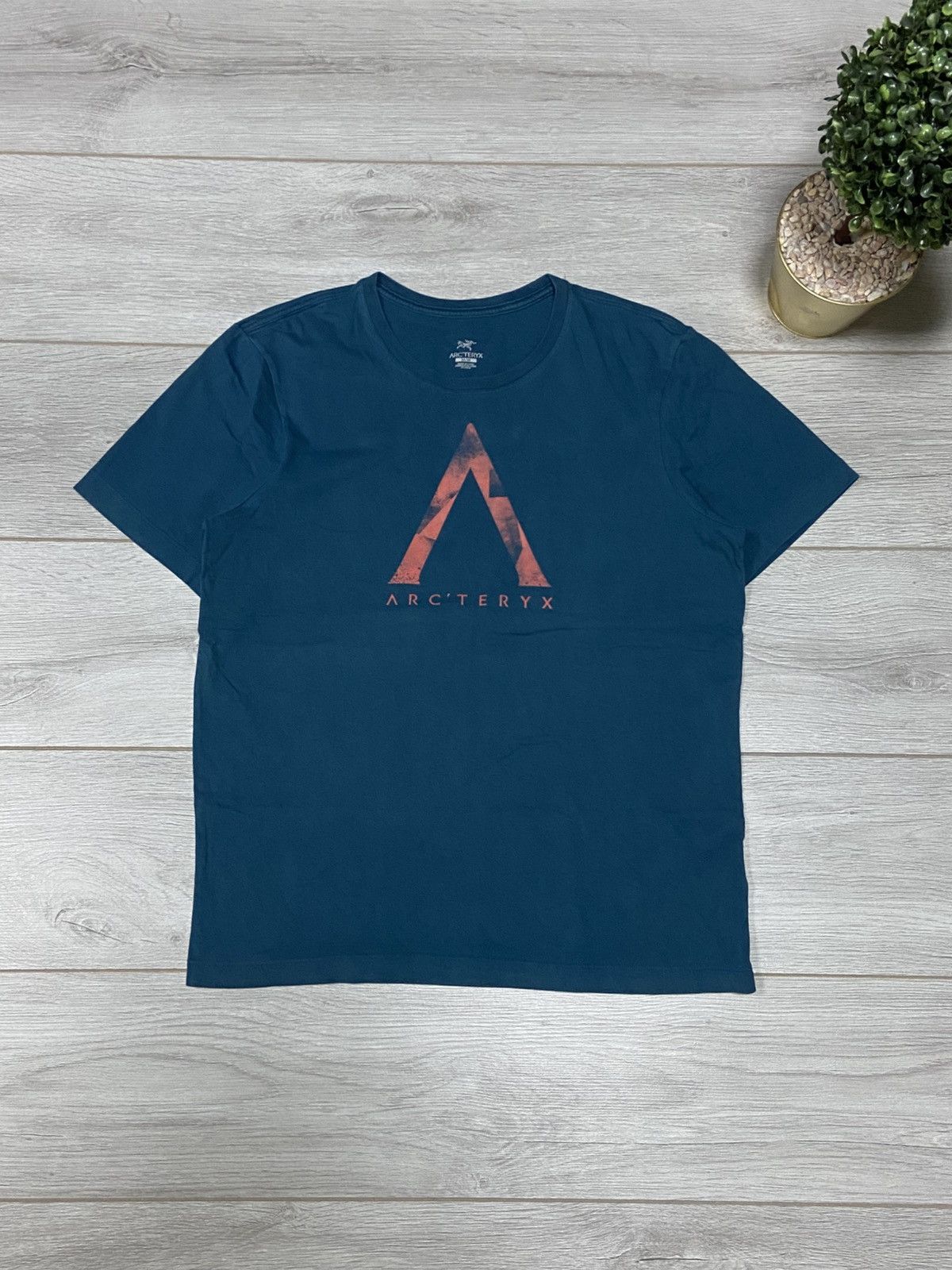 Arc'teryx Arcteryx vintage big bird logo t-shirt Size US M / EU 48-50 / 2 - 1 Thumbnail