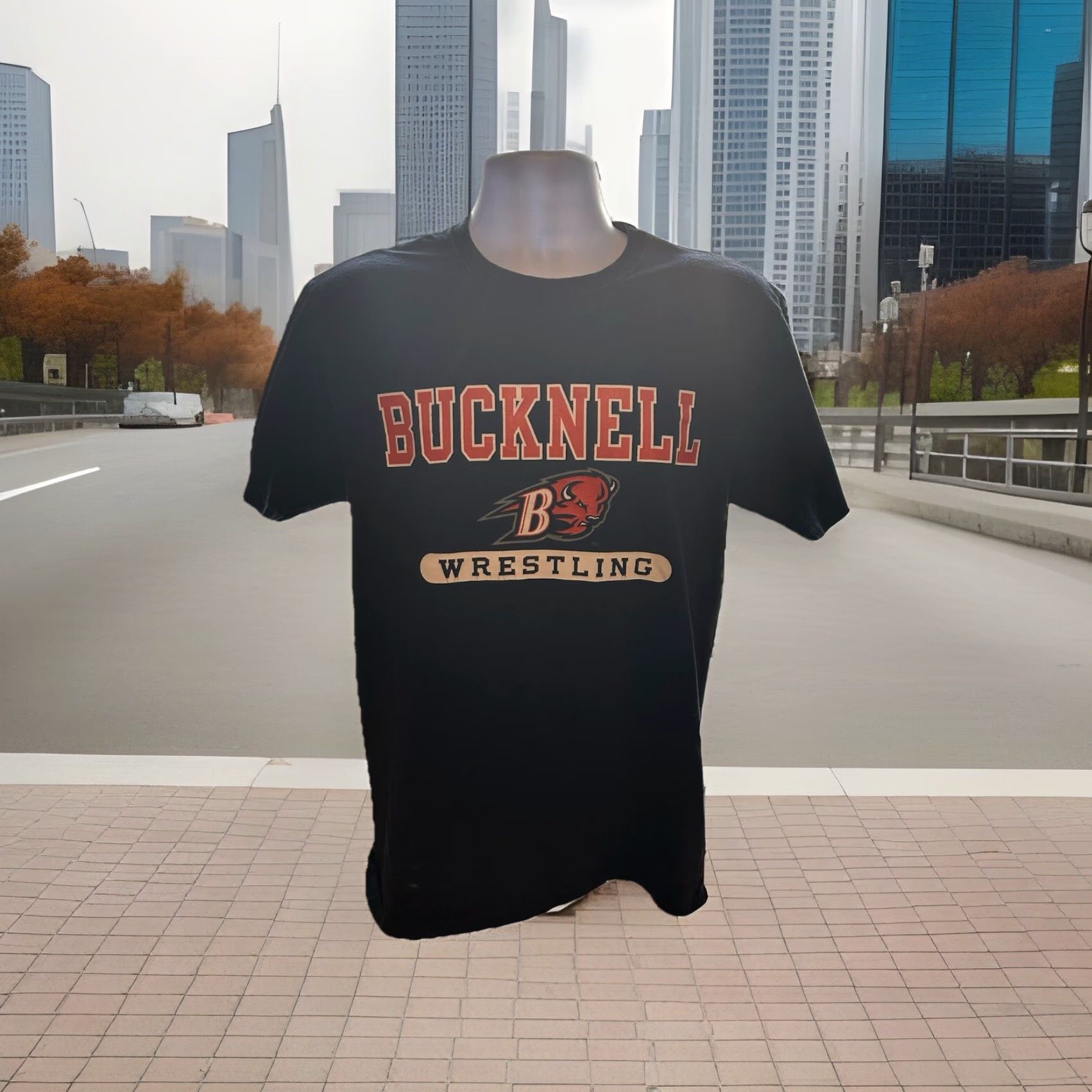Vintage VINTAGE Bucknell University Wrestling Shirt Men Medium Navy Blue Short Sleeve Russell Size US M / EU 48-50 / 2 - 6 Thumbnail