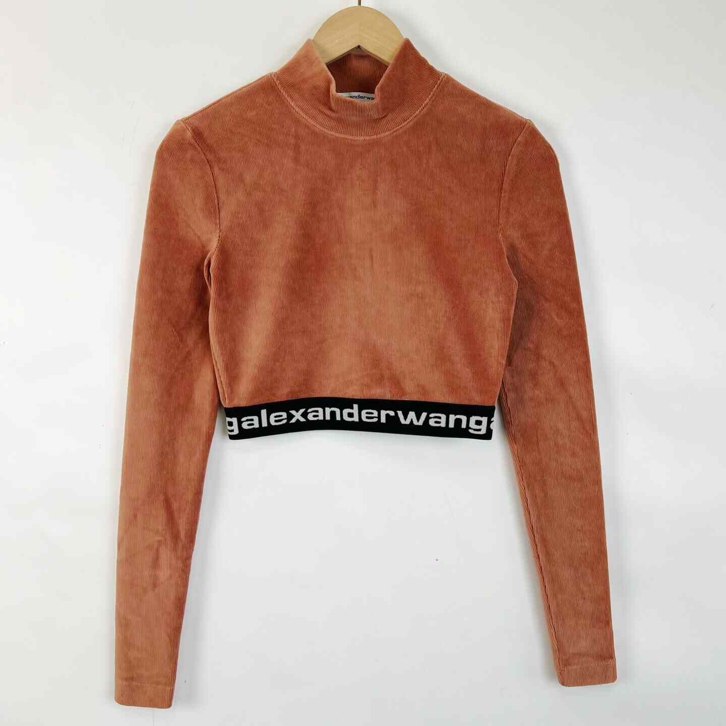 Alexander Wang Alexander Wang Brown Corduroy Mock Neck T-shirt Size XS / US 0-2 / IT 36-38 - 1 Thumbnail