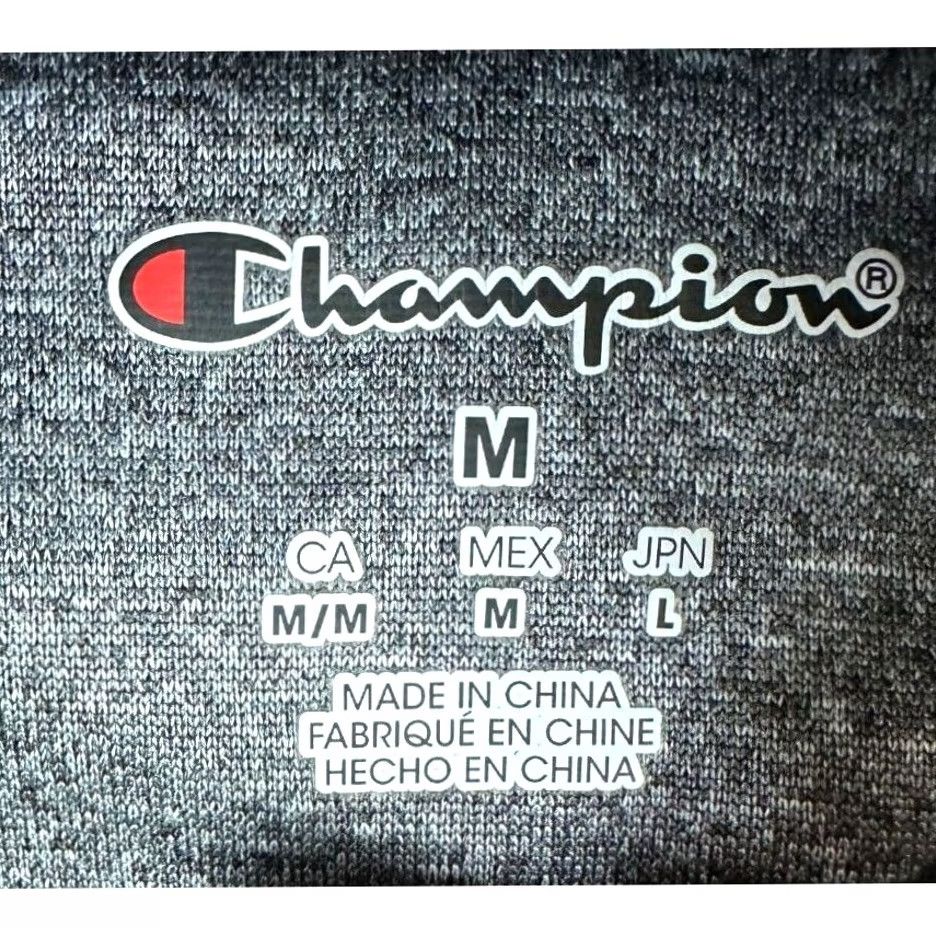Champion Notre Dame Fighting Irish Hoodie Sweatshirt Mens Medium Grey Drawstring Champion Size US M / EU 48-50 / 2 - 4 Thumbnail