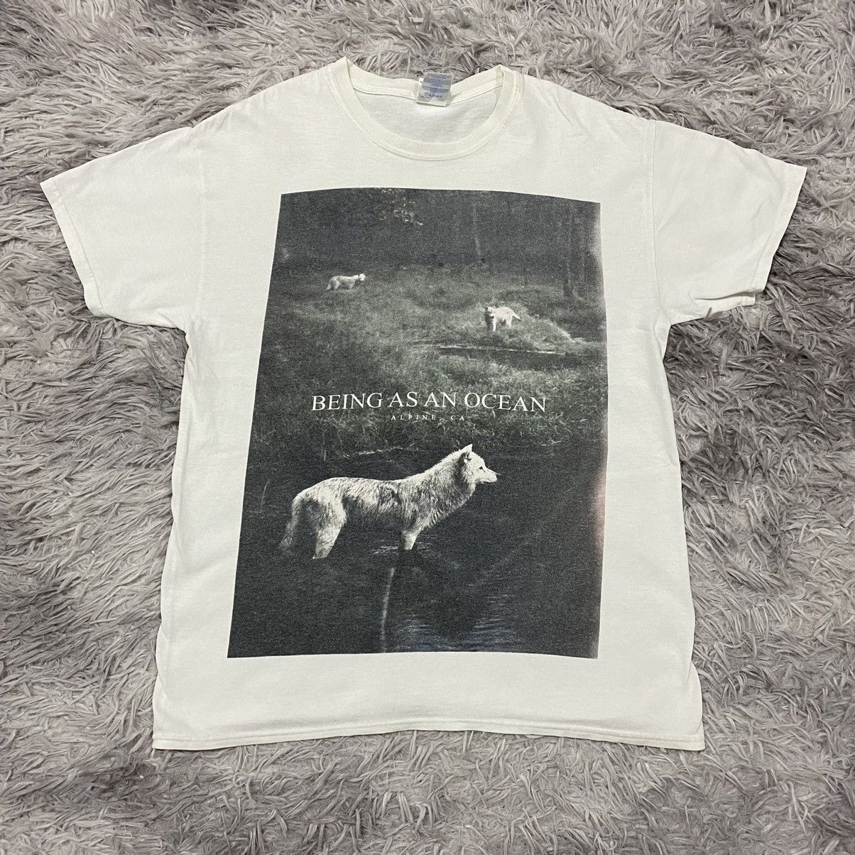 Post hardcore band being as an ocean