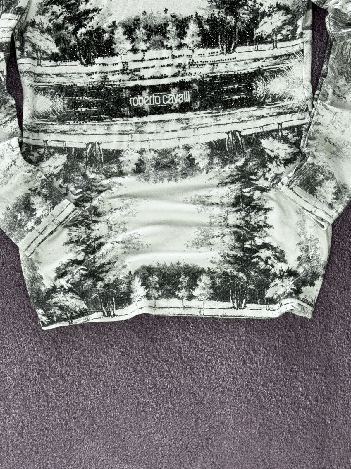 Roberto Cavalli Y2K Roberto Cavalli 00s Grunge Vibe Printed Long Sleeve Top Size XL / US 12-14 / IT 48-50 - 3 Thumbnail