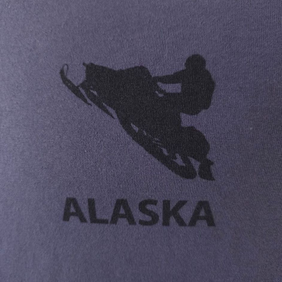 The Mountain Snowmobiling Alaska T Shirt Mens Size Small Gray Group Therapy Travel Tee Size US S / EU 44-46 / 1 - 3 Thumbnail