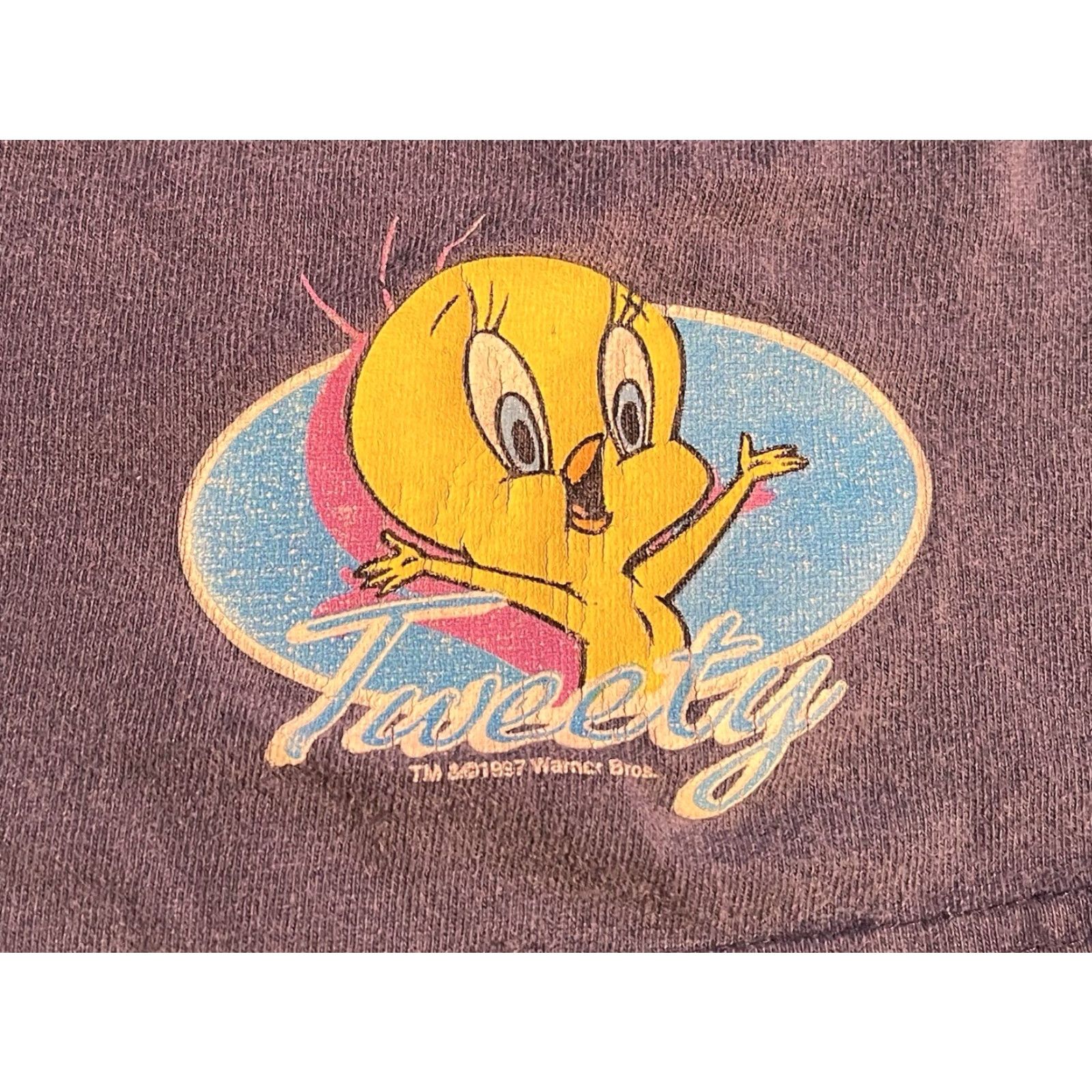 Vintage VINTAGE Looney Tunes Tweety Bird Sweat Shorts Women’s M Navy 1997 Size 32" / US 10 / IT 46 - 2 Thumbnail