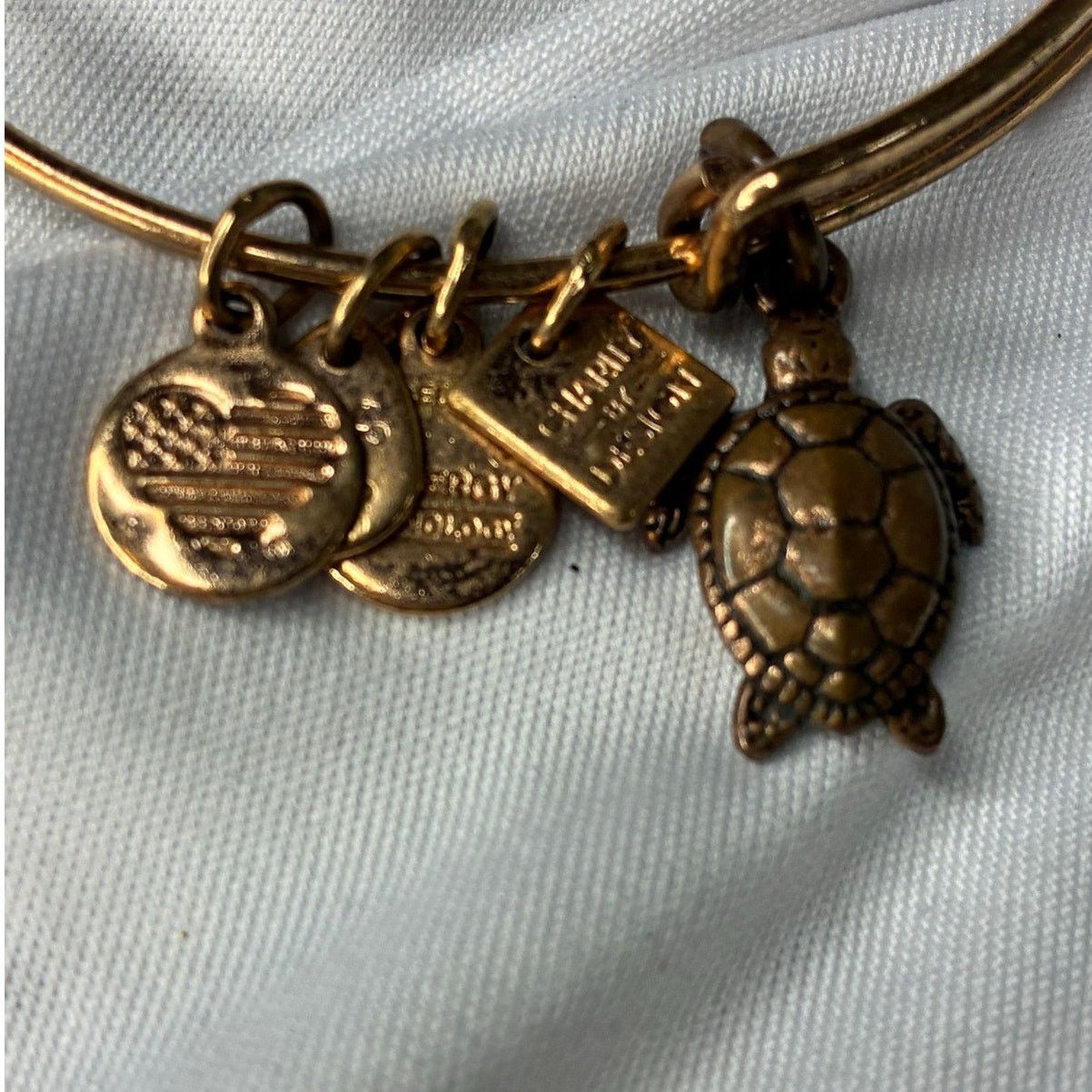 Other Alex and Ani Sea Turtle Bangle Bracelet Rafaelian Gold Tone Size ONE SIZE - 6 Thumbnail