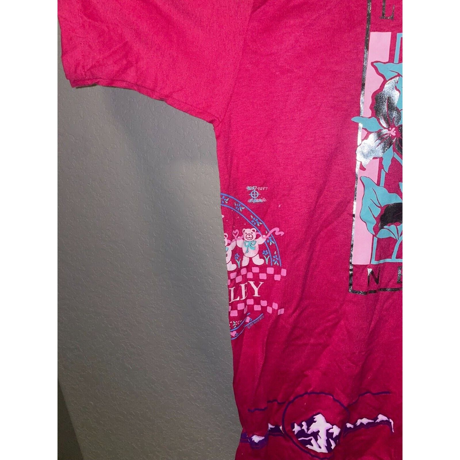Jerzees Vintage Test Print Shirt Lake Tahoe Napa Bears Tee VTG 90s L Size US L / EU 52-54 / 3 - 10 Thumbnail