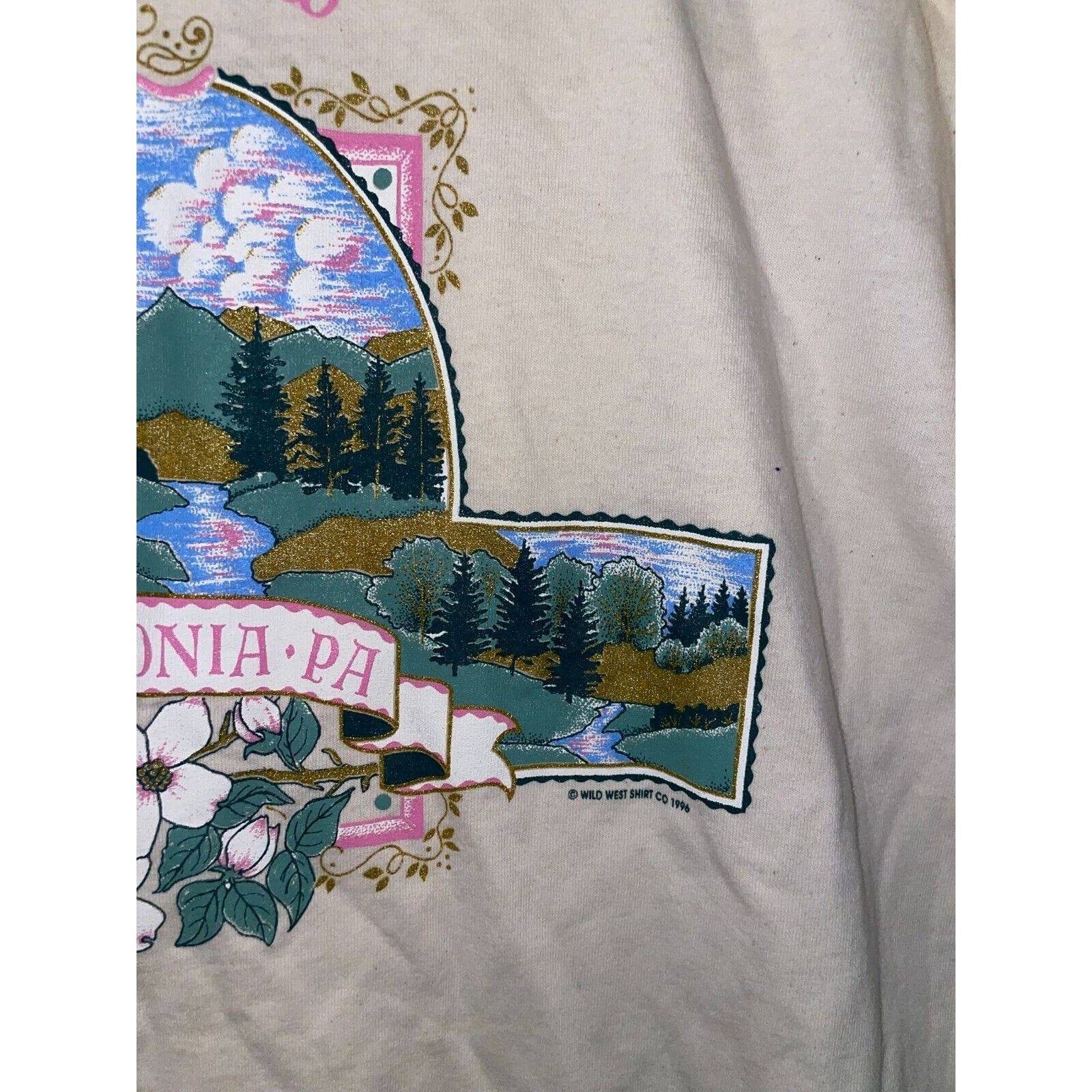 Signal Sport 90s Vintage Eagles Peak Robesonia White Ringer Shirt Large Size US L / EU 52-54 / 3 - 6 Thumbnail