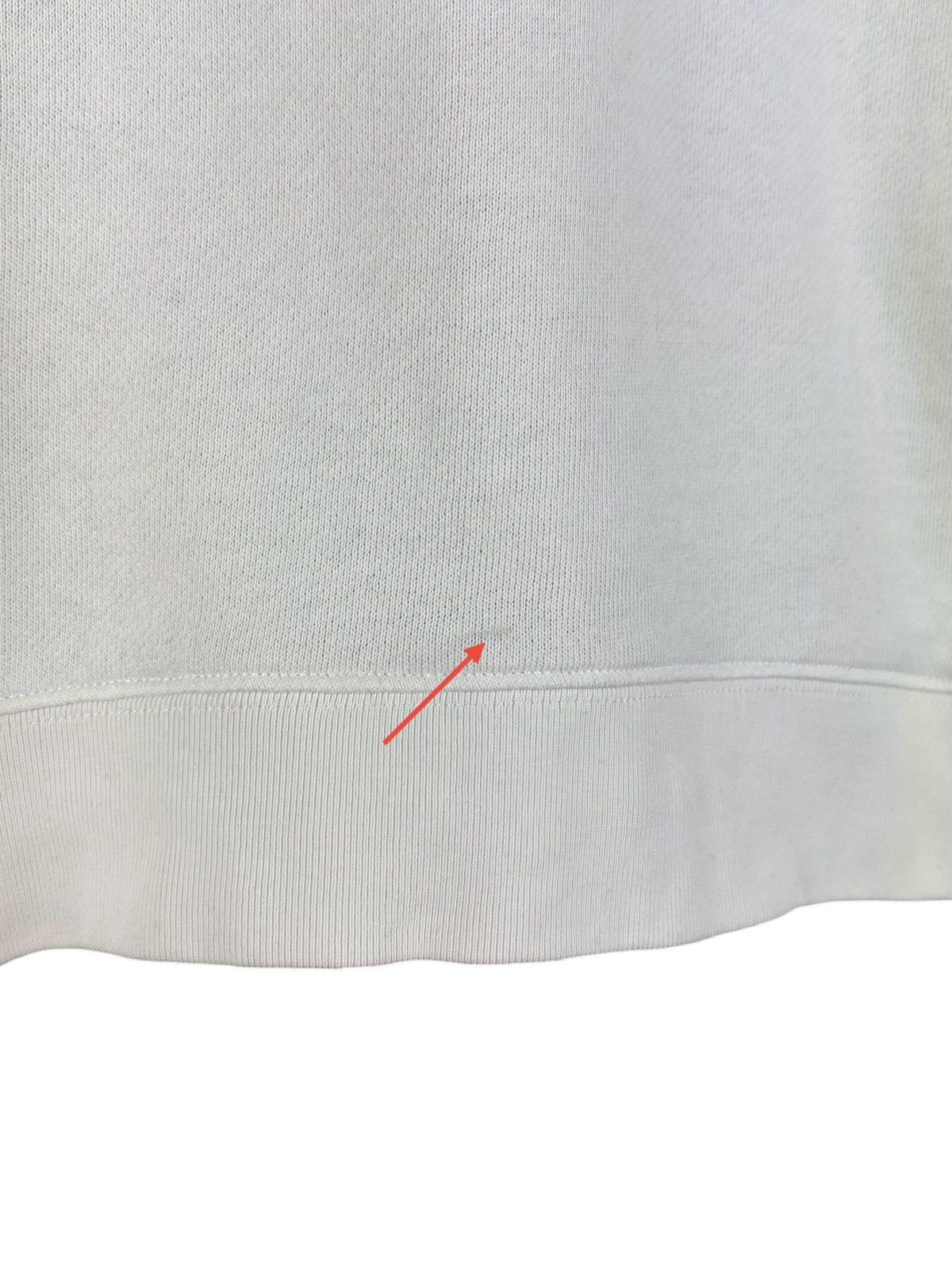 Acne Studios Acne Studios Bird Z Fleece PSS14 Cropped Crewneck Sweatshirt Size S / US 4 / IT 40 - 16 Thumbnail