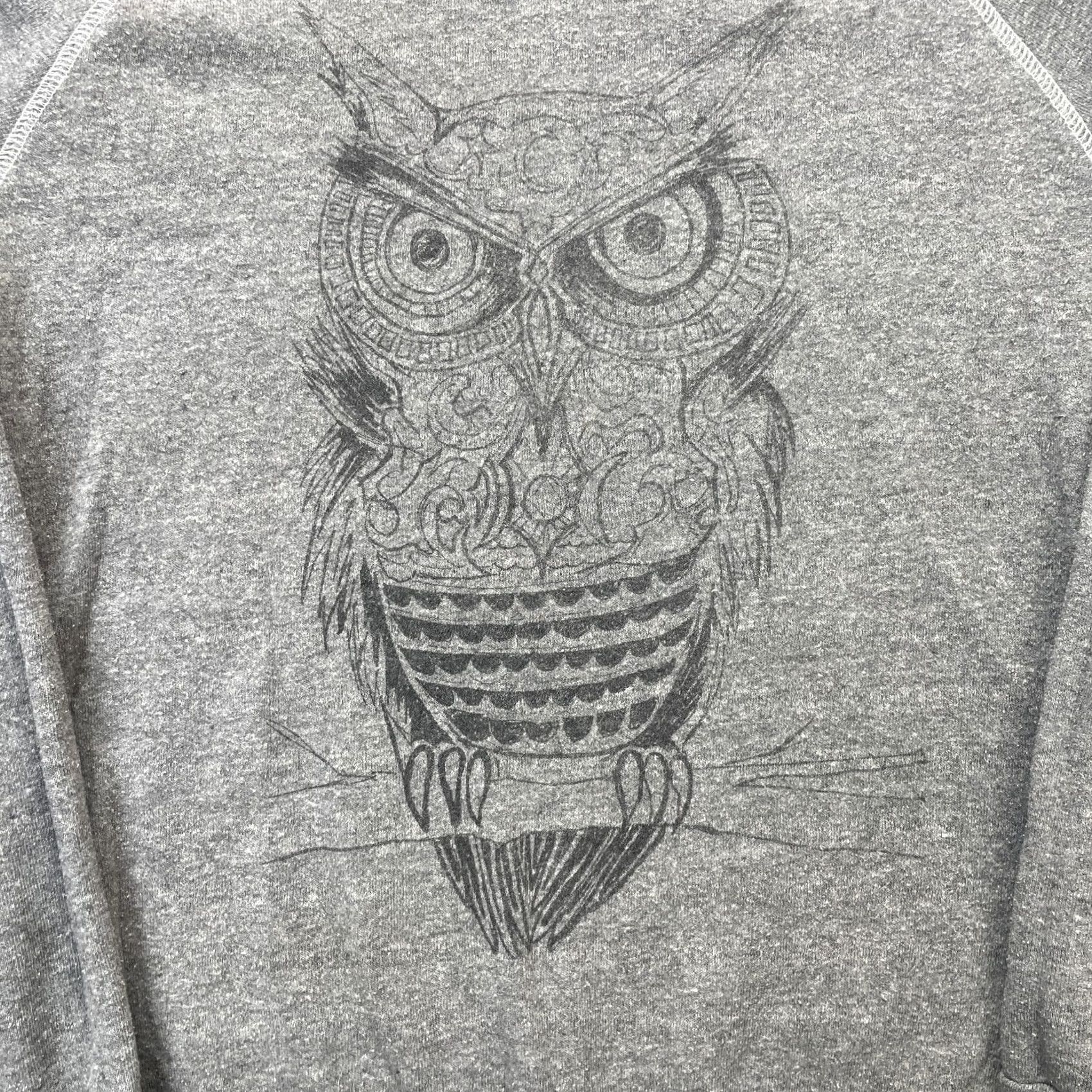 Vintage Owl Sweatshirt Mens Large Gray Heathered Graphic Print Fleece Lined Bohemian Size US L / EU 52-54 / 3 - 4 Thumbnail
