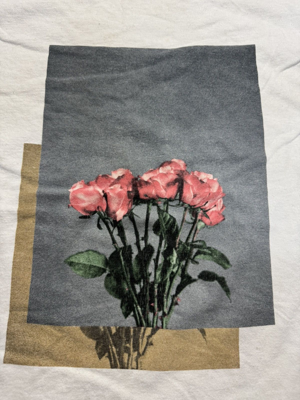Champion × Pacsun assorted tshirt - champion x pacsun tshirt Size US L / EU 52-54 / 3 - 3 Thumbnail