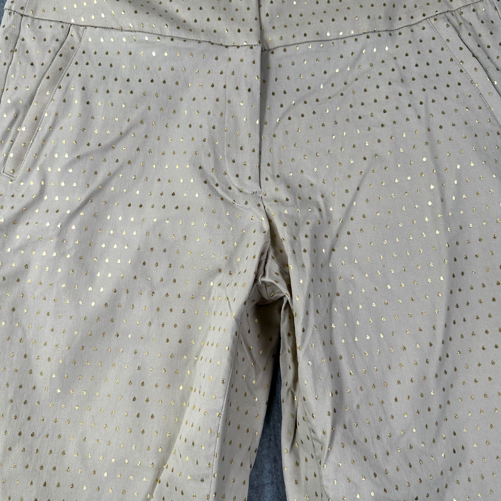 Vintage Lane Bryant Ankle Pants Beige Gold Women's 16 Skinny Flat Front Pull On Pockets Regular Inseam 29 Theme Classic Style Ankle Pants Size 38" / US 16 / IT 52 - 5 Thumbnail