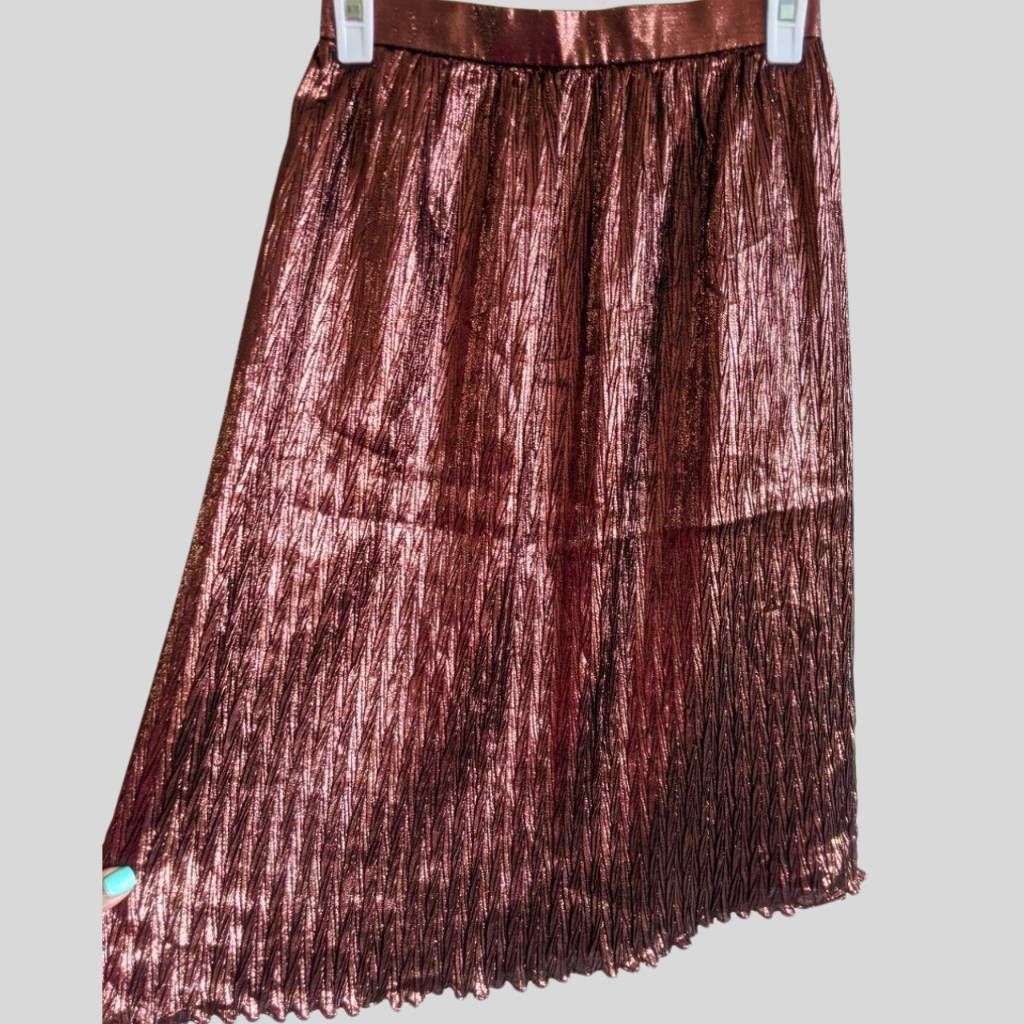 Evan Picone Vintage Evan Picone Brown Metallic Pleated Midi Skirt Size 4 Size 27" / US 4 / IT 40 - 5 Thumbnail