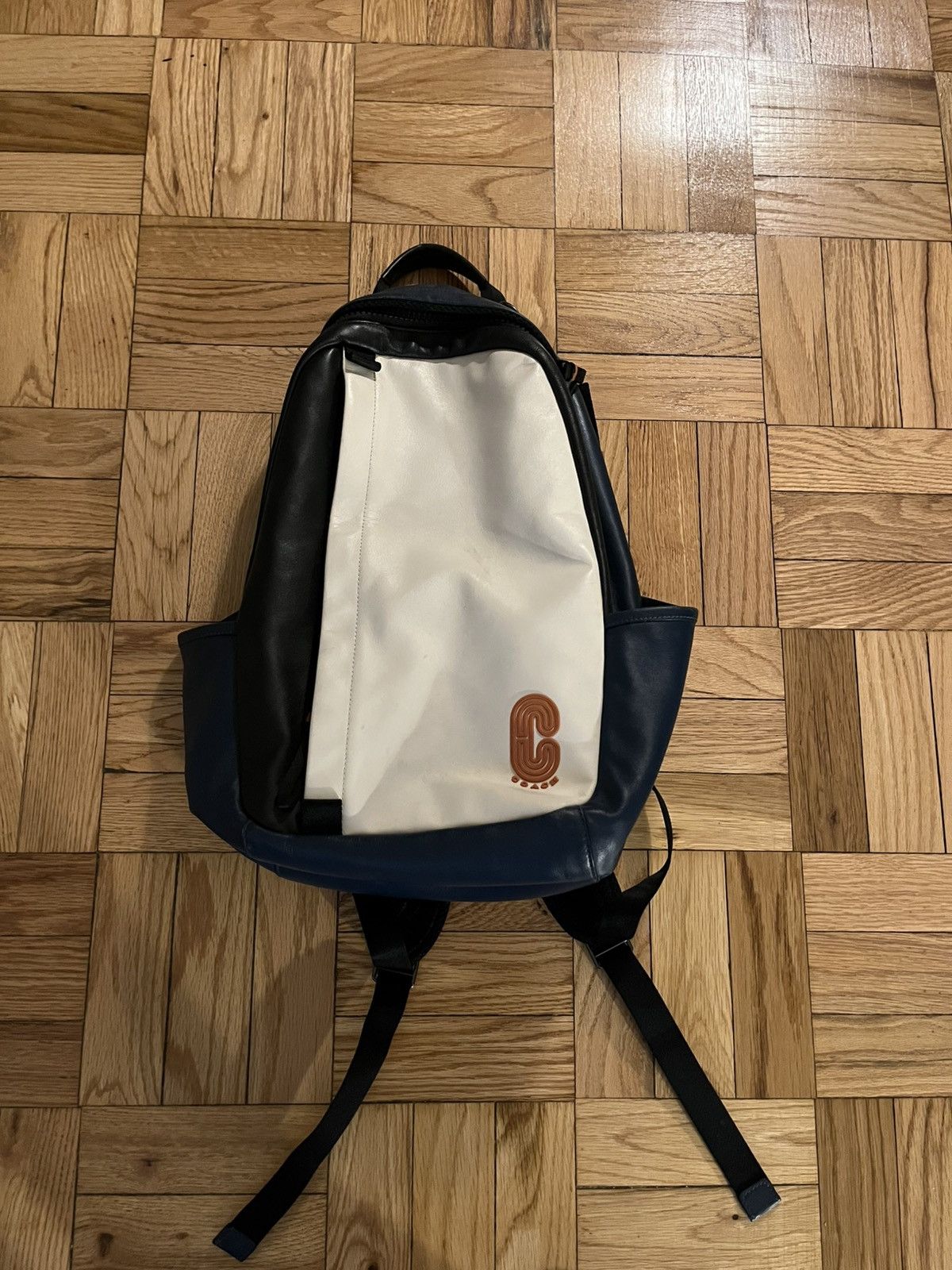 Coach Leather Backpack