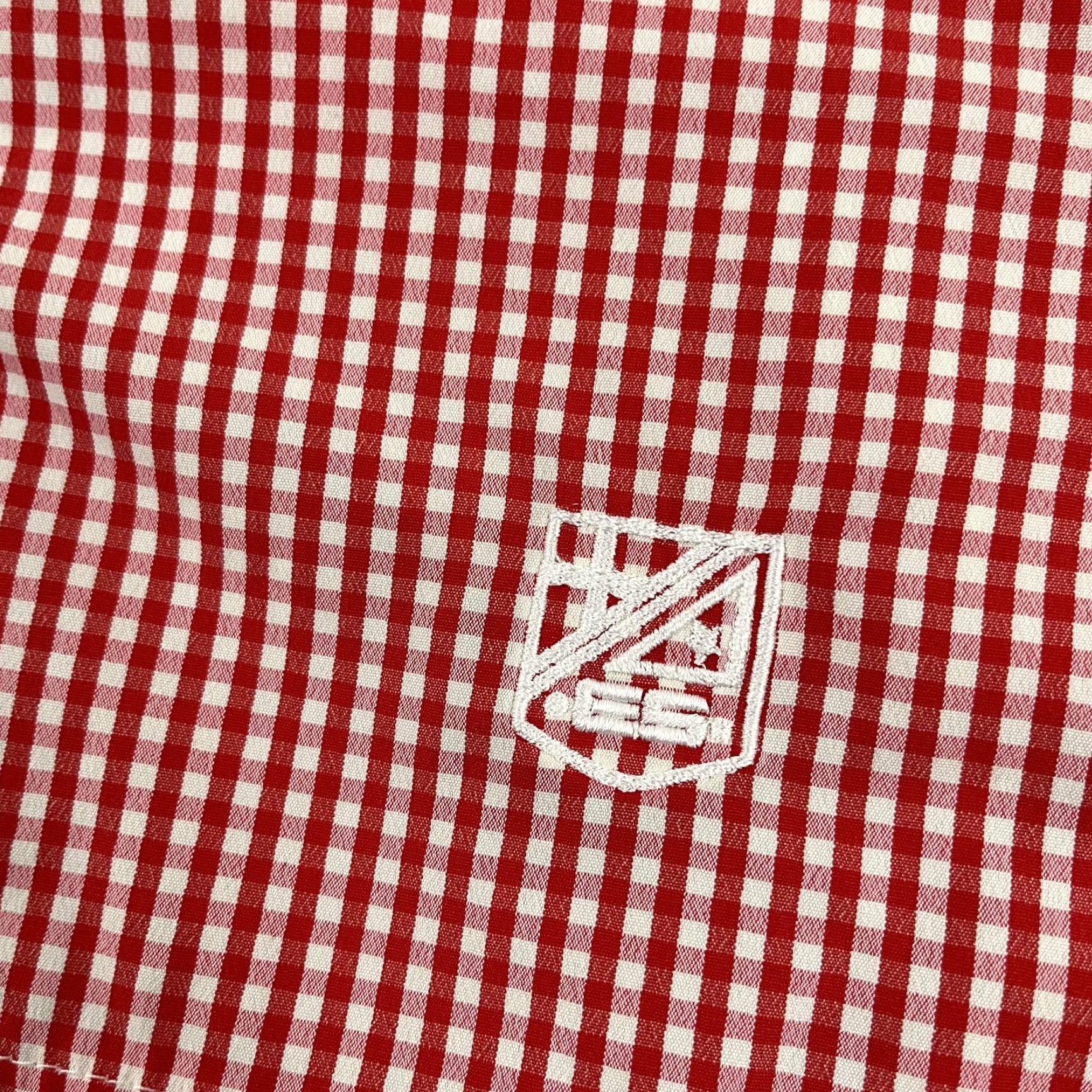 Vintage ES Collection Board Shorts Men 32/34 Trunks 2.5" Red White Check Linerless Polyester Swim Bottoms Size US 32 / EU 48 - 2 Thumbnail