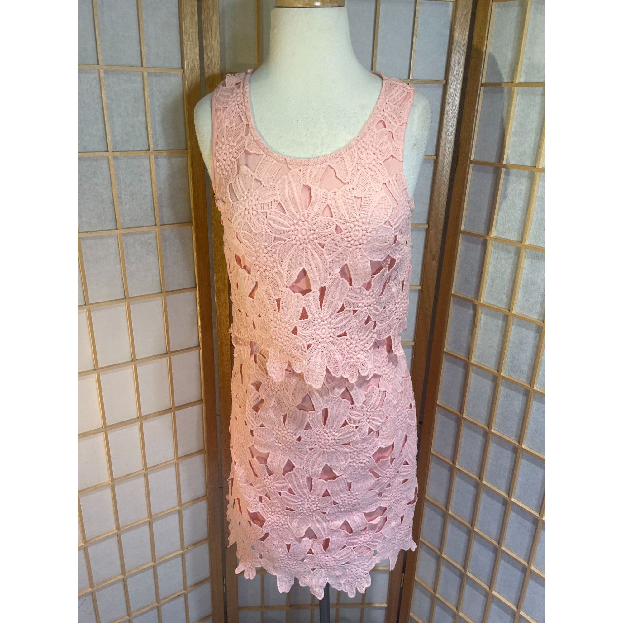 Other Francesca's Miami Sm Lace Floral Dress Size S / US 4 / IT 40 - 12 Thumbnail