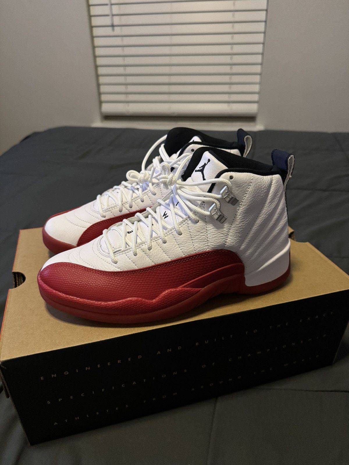 Jordan Brand Jordan 12 “Cherry” Size US 7.5 / EU 40-41 - 3 Thumbnail