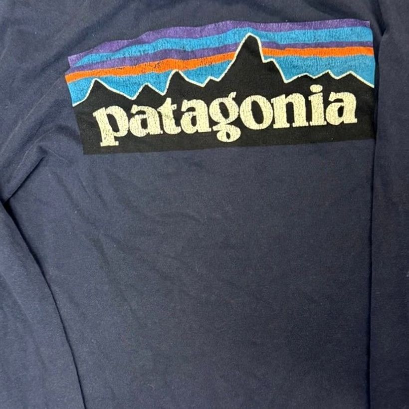Patagonia VINTAGE Patagonia P-6 Back Logo Organic Cotton Long Sleeve Shirt M Green Size US M / EU 48-50 / 2 - 5 Thumbnail