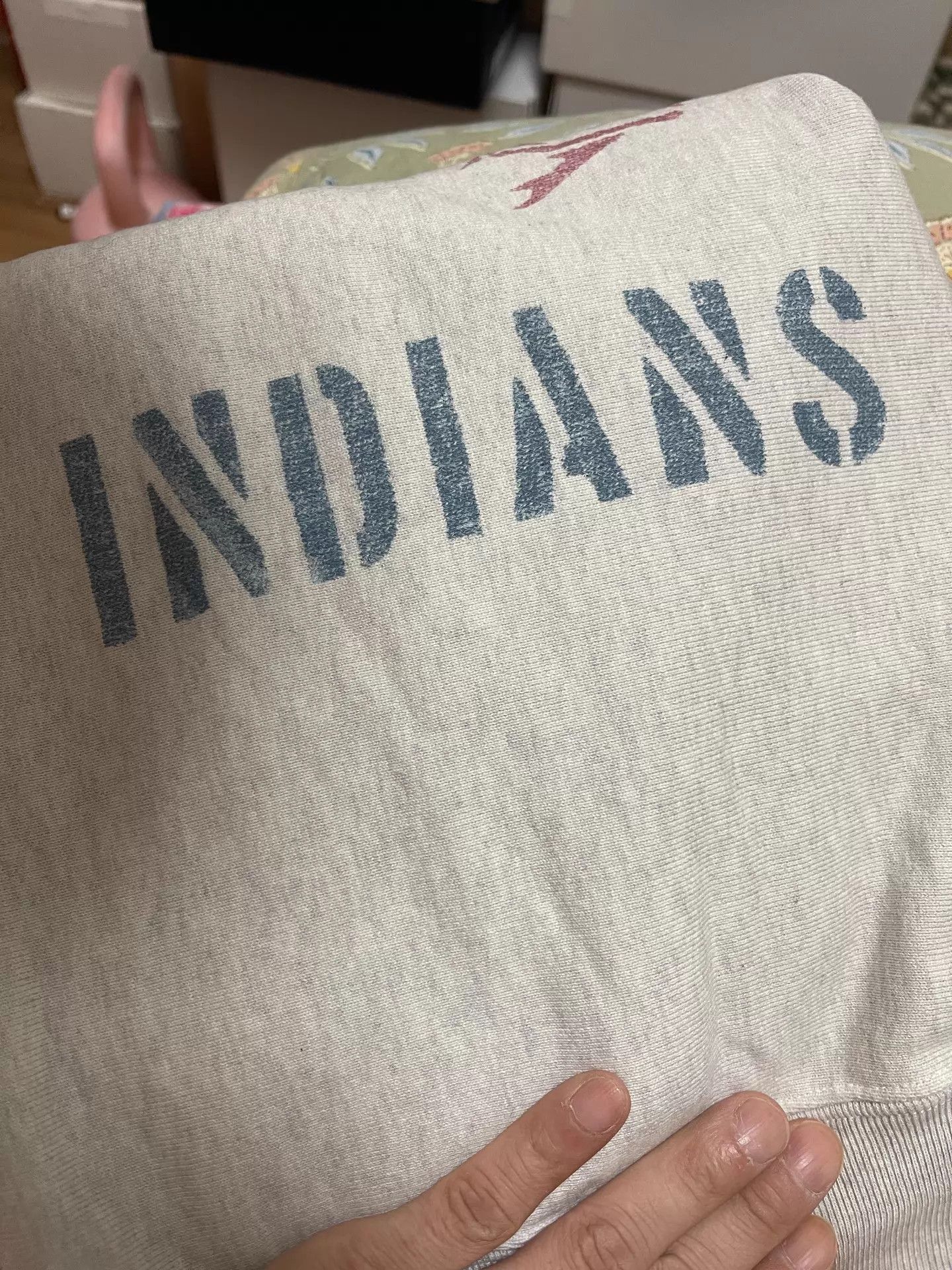 Other BOW WOW SCREAMIN INDIANS Indian Ripped Printed Crew 25AW M Size US M / EU 48-50 / 2 - 5 Thumbnail