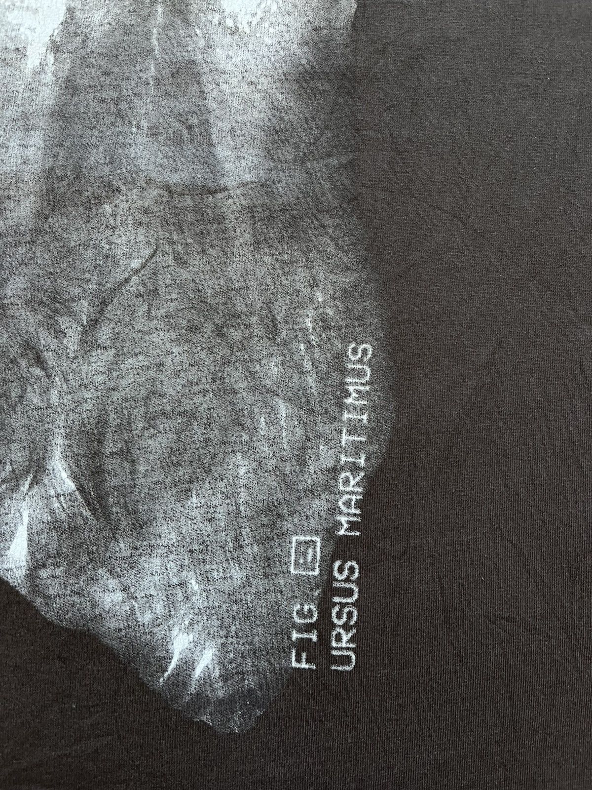 Acne Studios Acne Studios "Ursus Maritimus" Bear Graphic Tee - Dark Brown Size US L / EU 52-54 / 3 - 6 Thumbnail