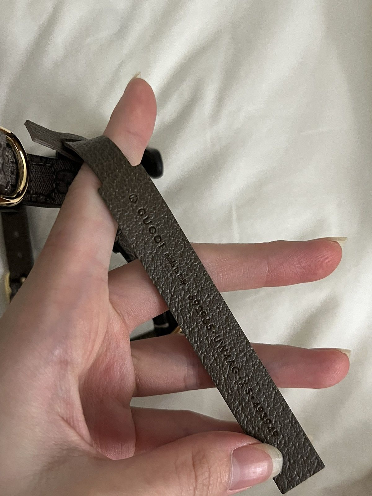 Gucci Extra Small Gucci Dog Collar Size ONE SIZE - 4 Thumbnail