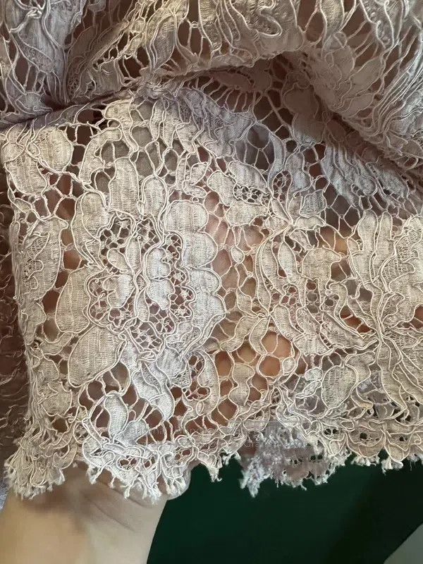 Valentino Valentino Classic pink lace short sleeve dress Size L / US 10 / IT 46 - 4 Thumbnail