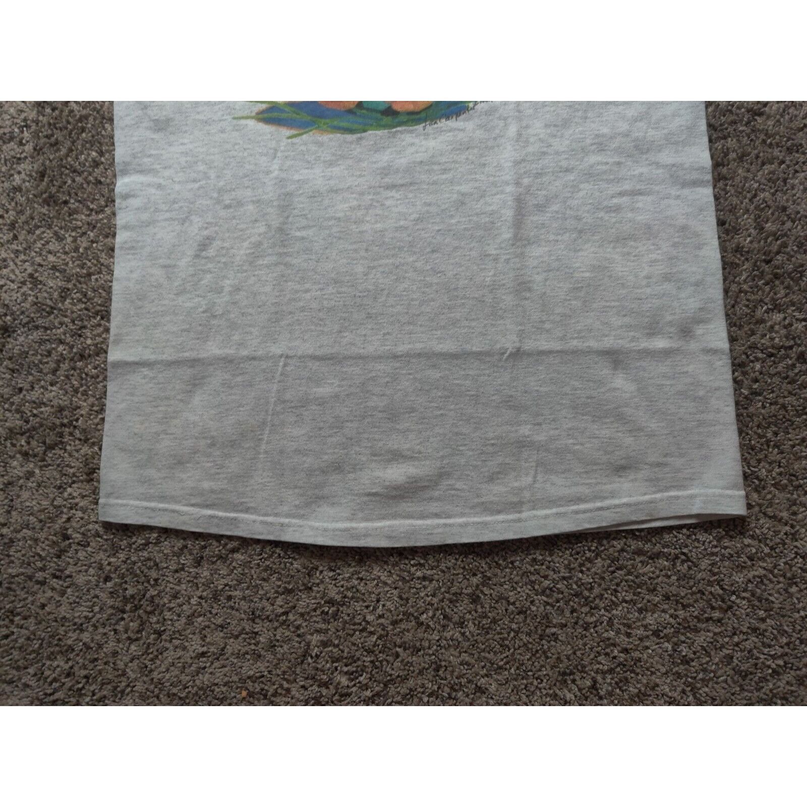 Other Vintage Lisa Carpenter Tank Top Shirt Adult Mens Medium Gray Size US M / EU 48-50 / 2 - 3 Thumbnail