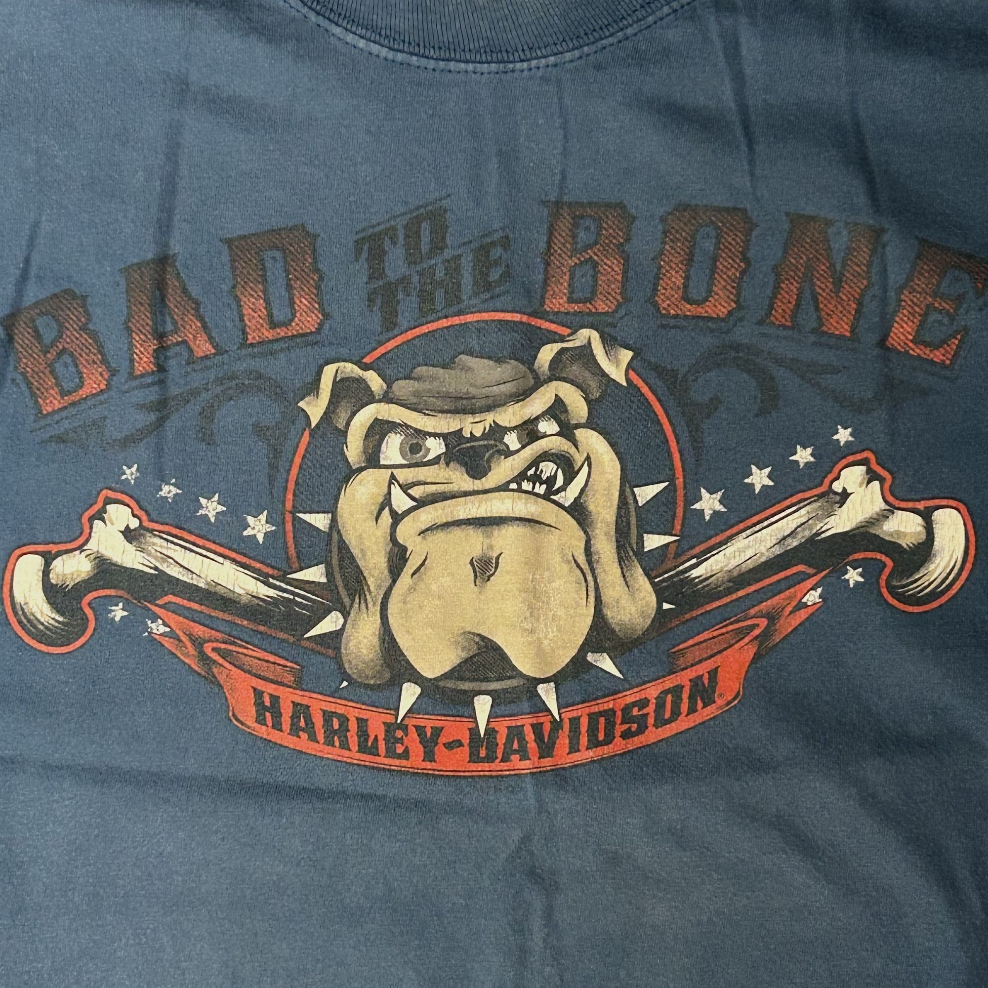 Harley Davidson REPTILE Cruising Motorcycle ALLIGATOR Biker BAD TO THE BONE Size US L / EU 52-54 / 3 - 7 Thumbnail